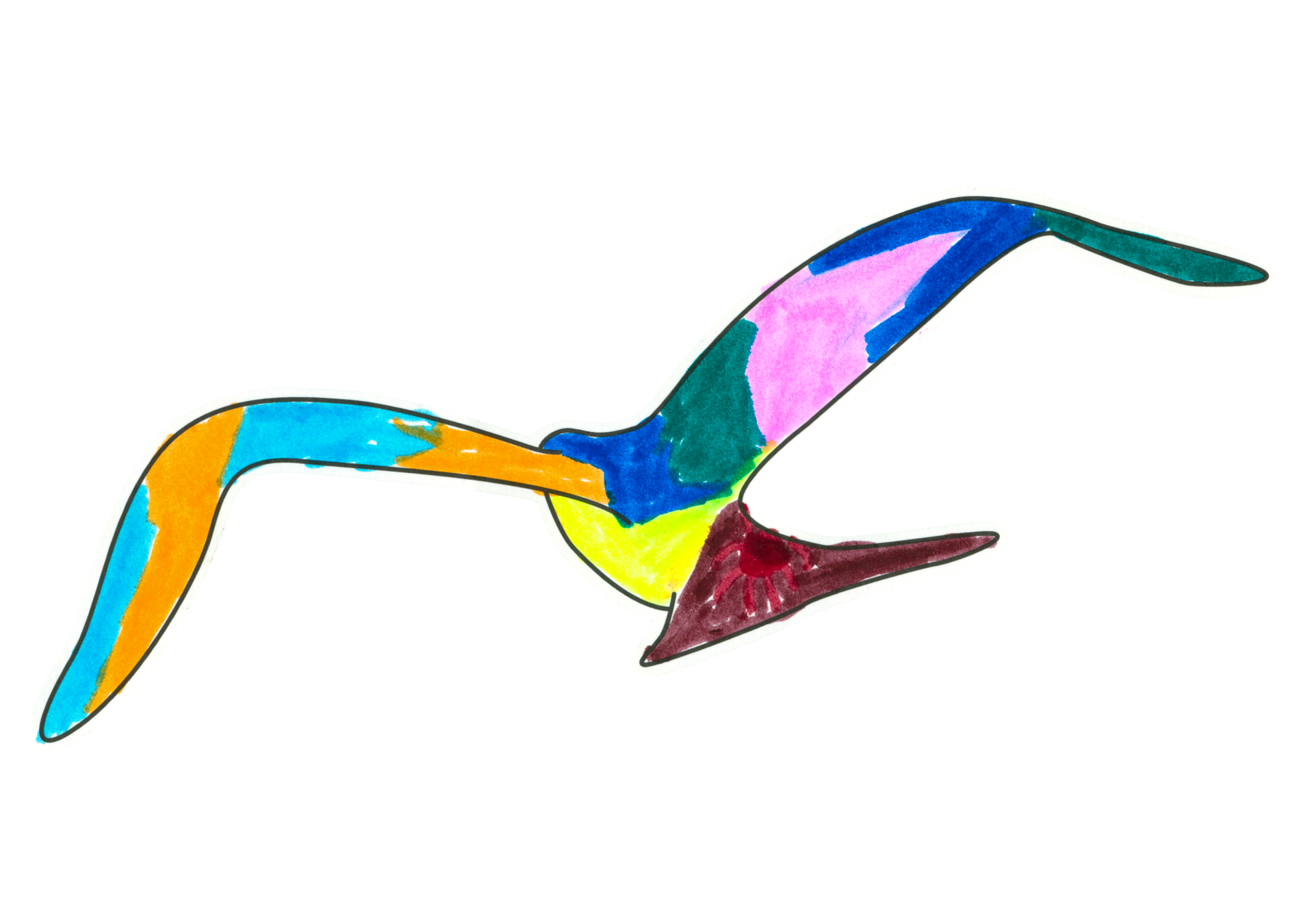 自由飛翔的天氣鳥