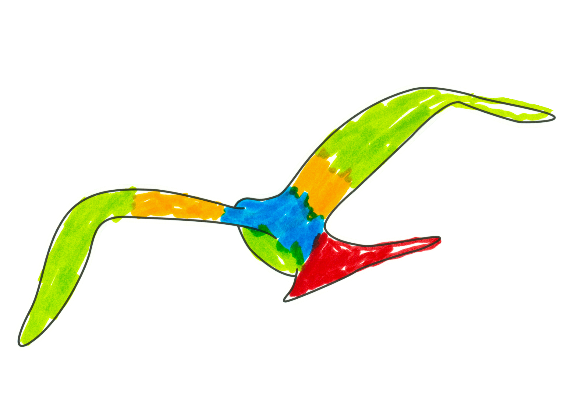 自由飛翔的天氣鳥