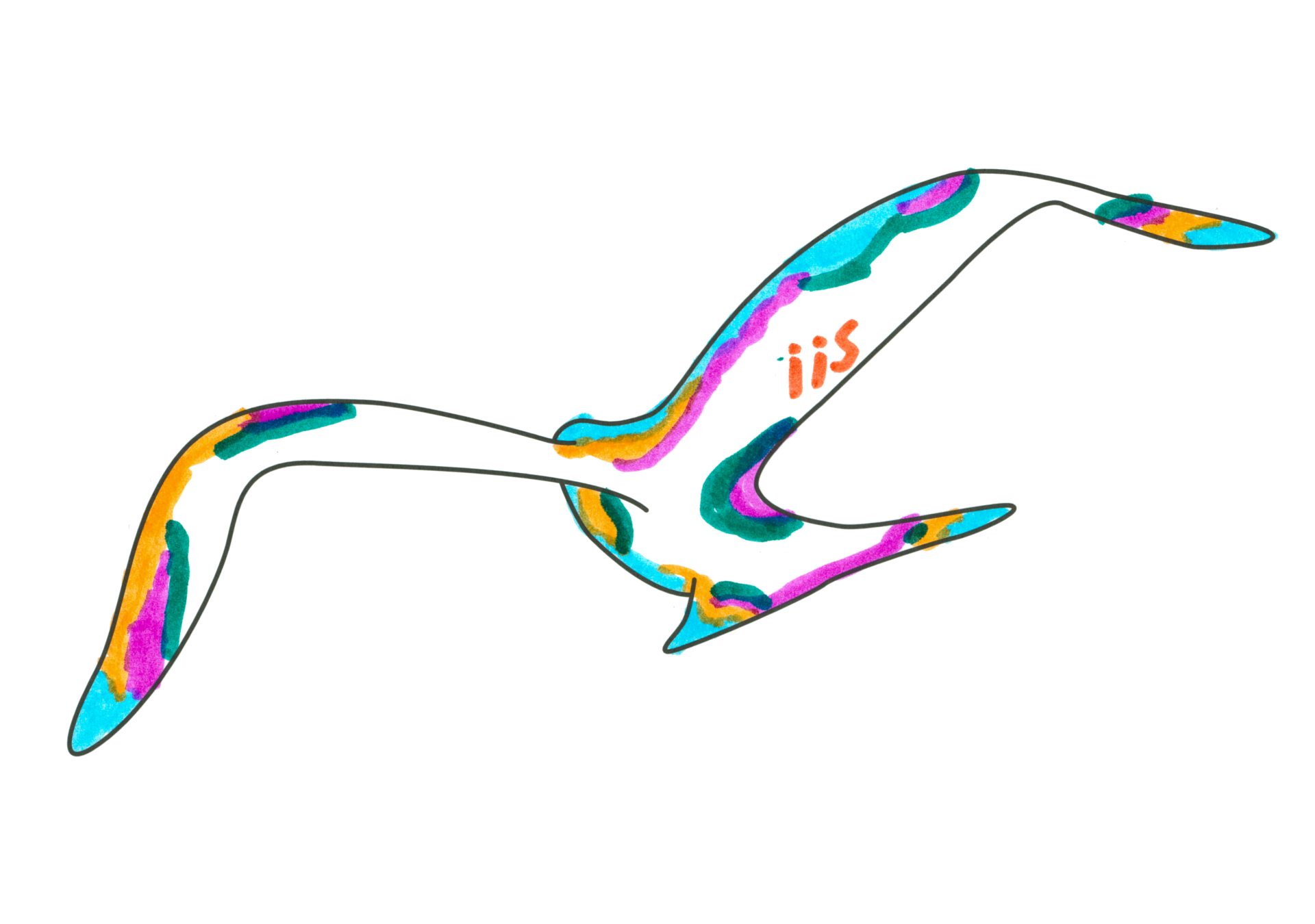 iis