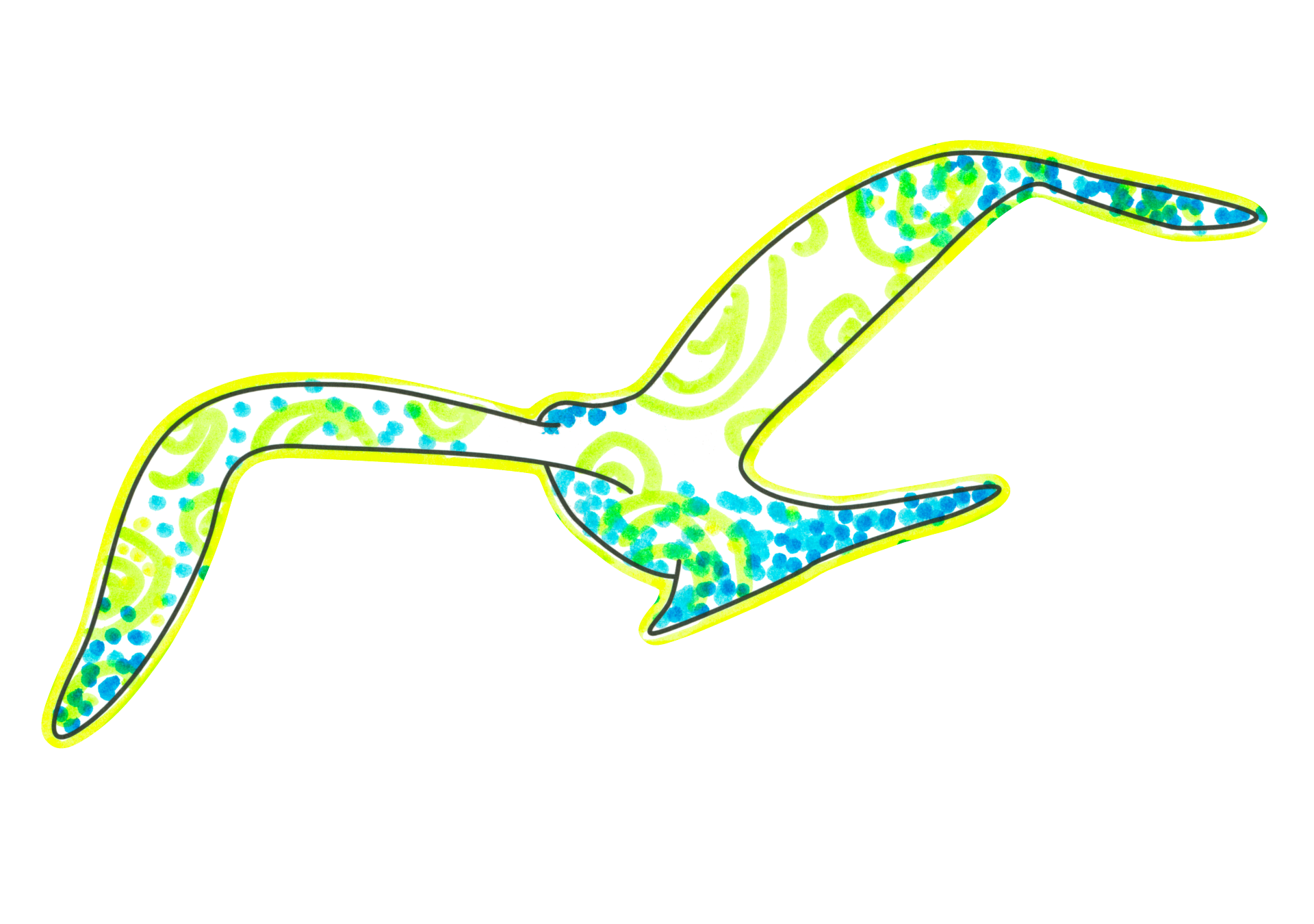 青鳥