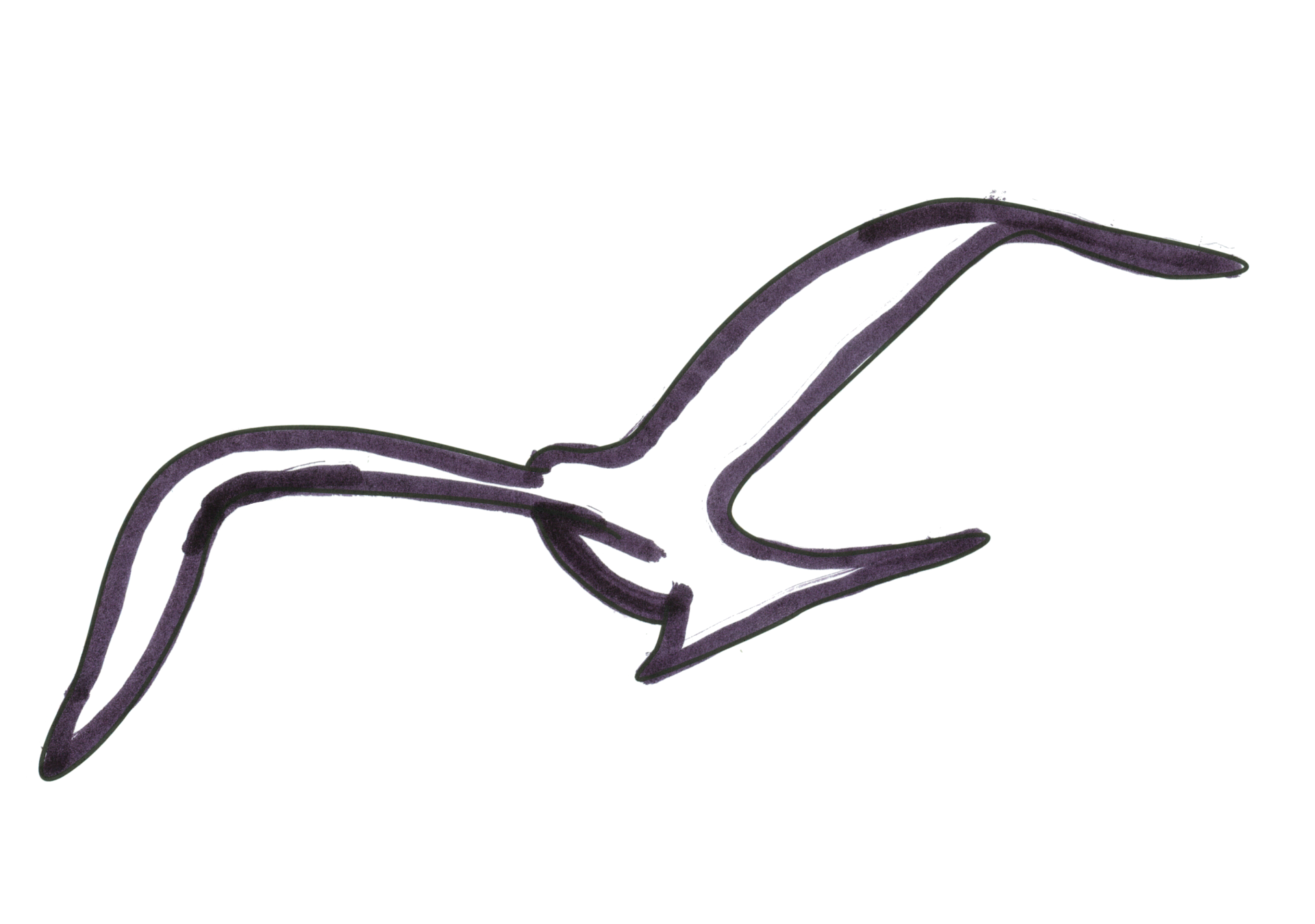 Black Bird