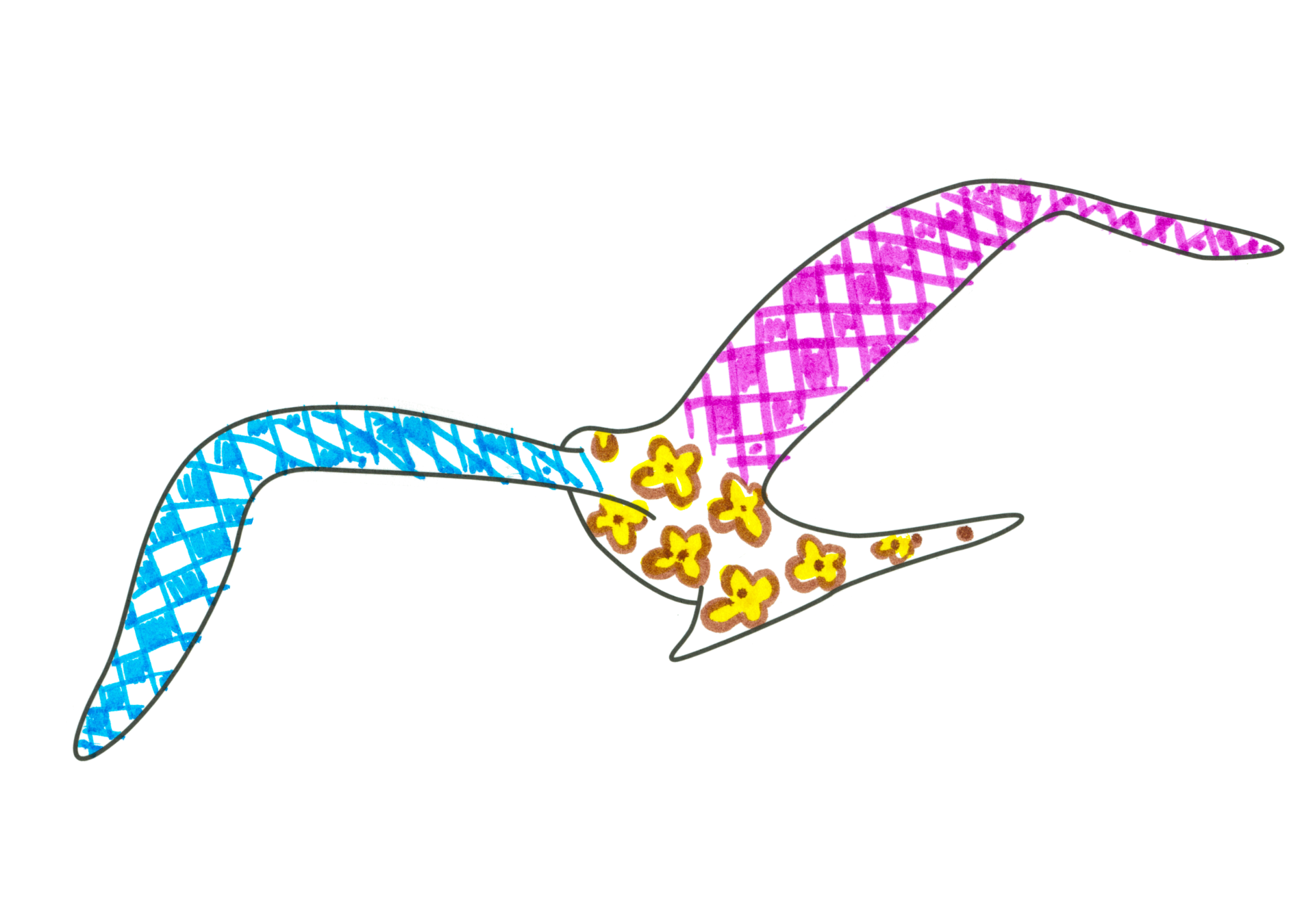 印花鳥