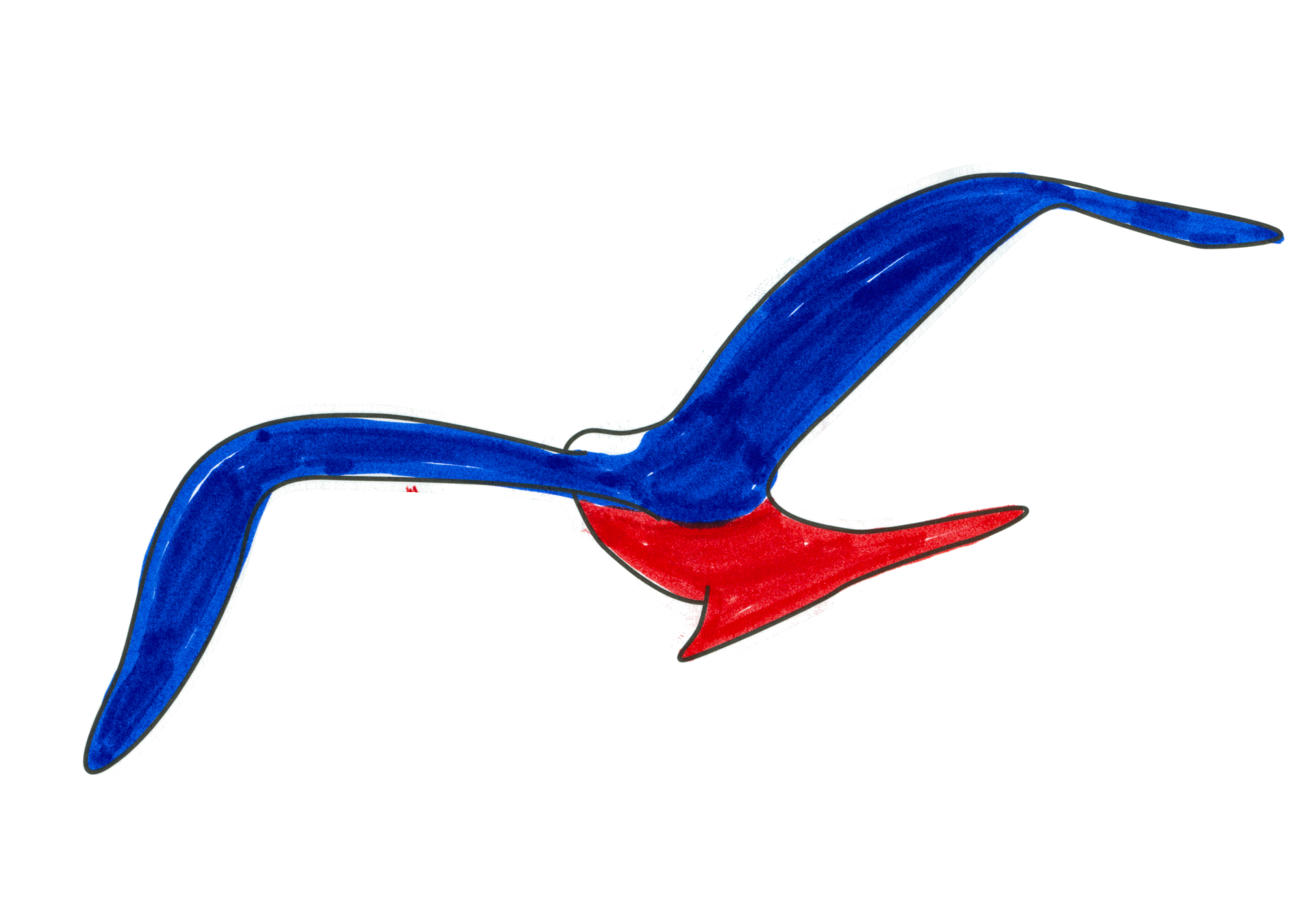 自由飛翔的天氣鳥