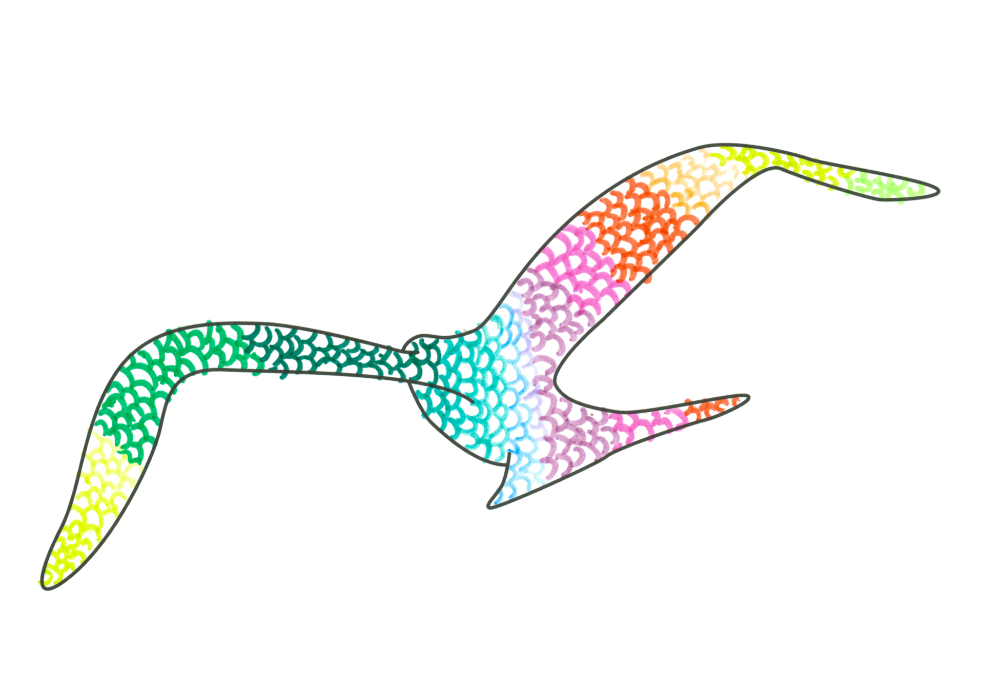逼逼波鳥