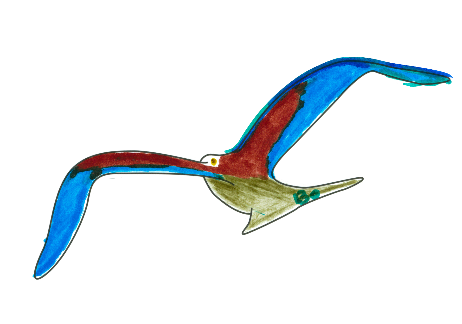 自由飛翔的天氣鳥