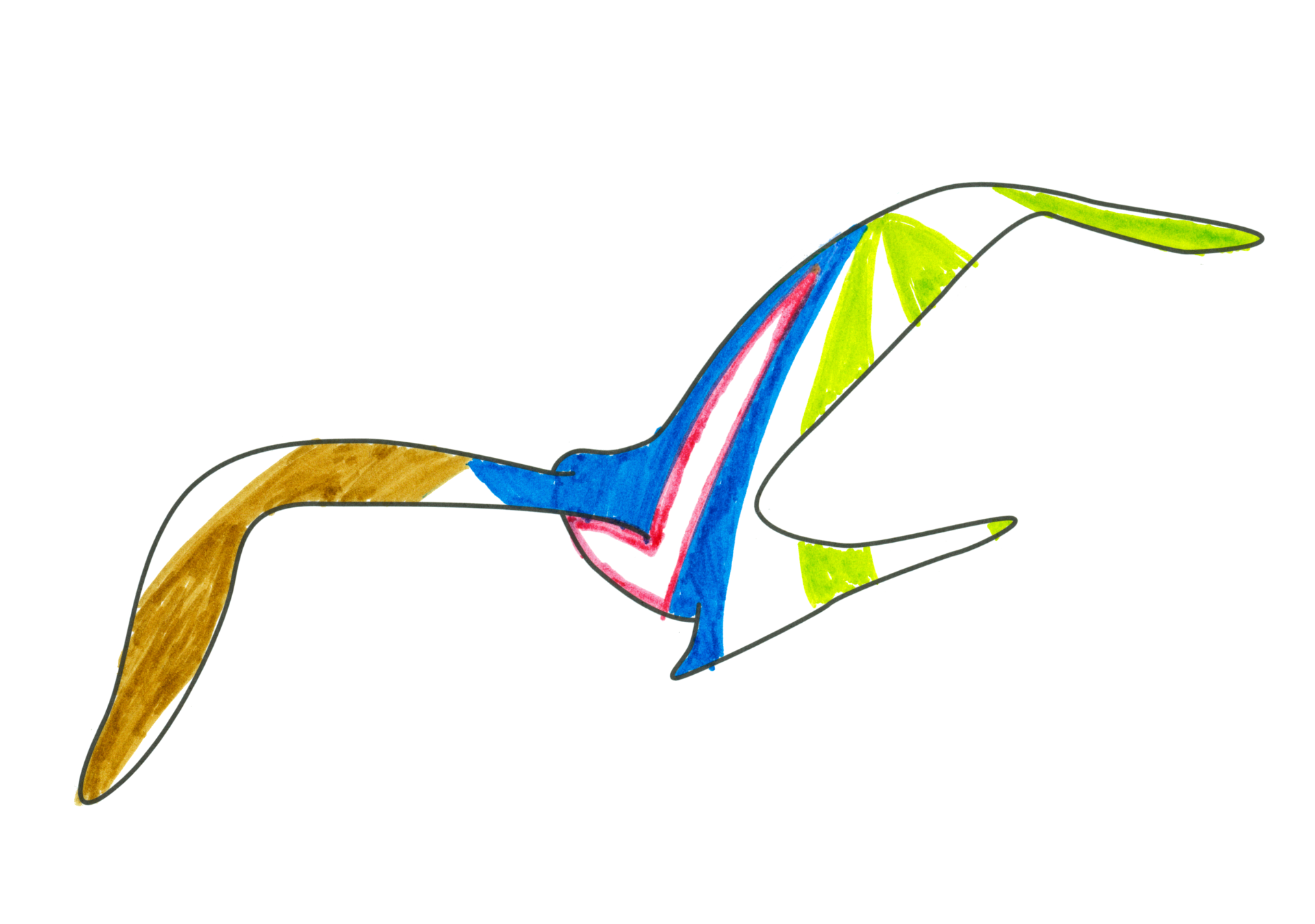 自由飛翔的天氣鳥
