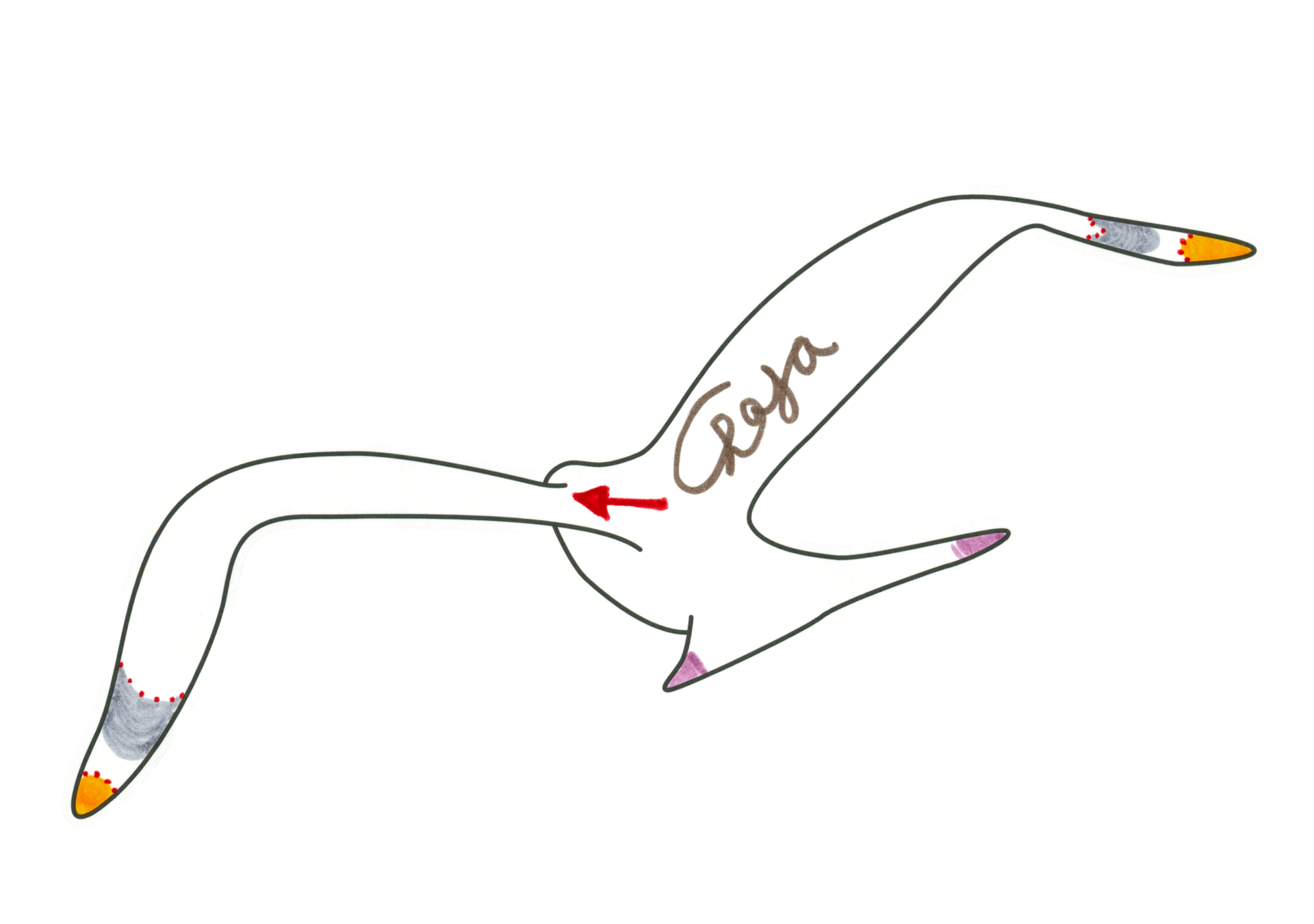 自由飛翔的天氣鳥