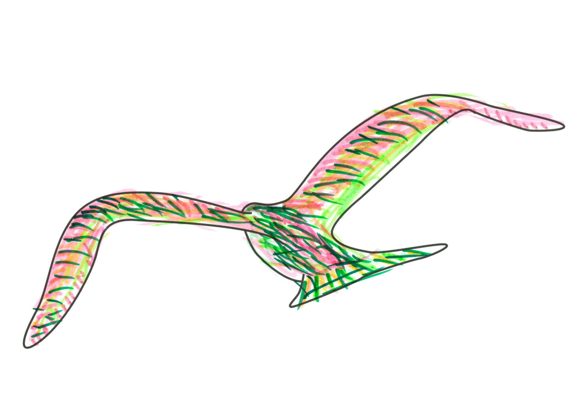 自由飛翔的天氣鳥