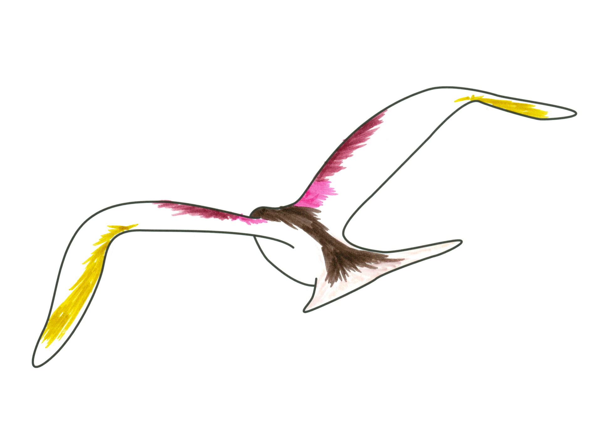 自由飛翔的天氣鳥