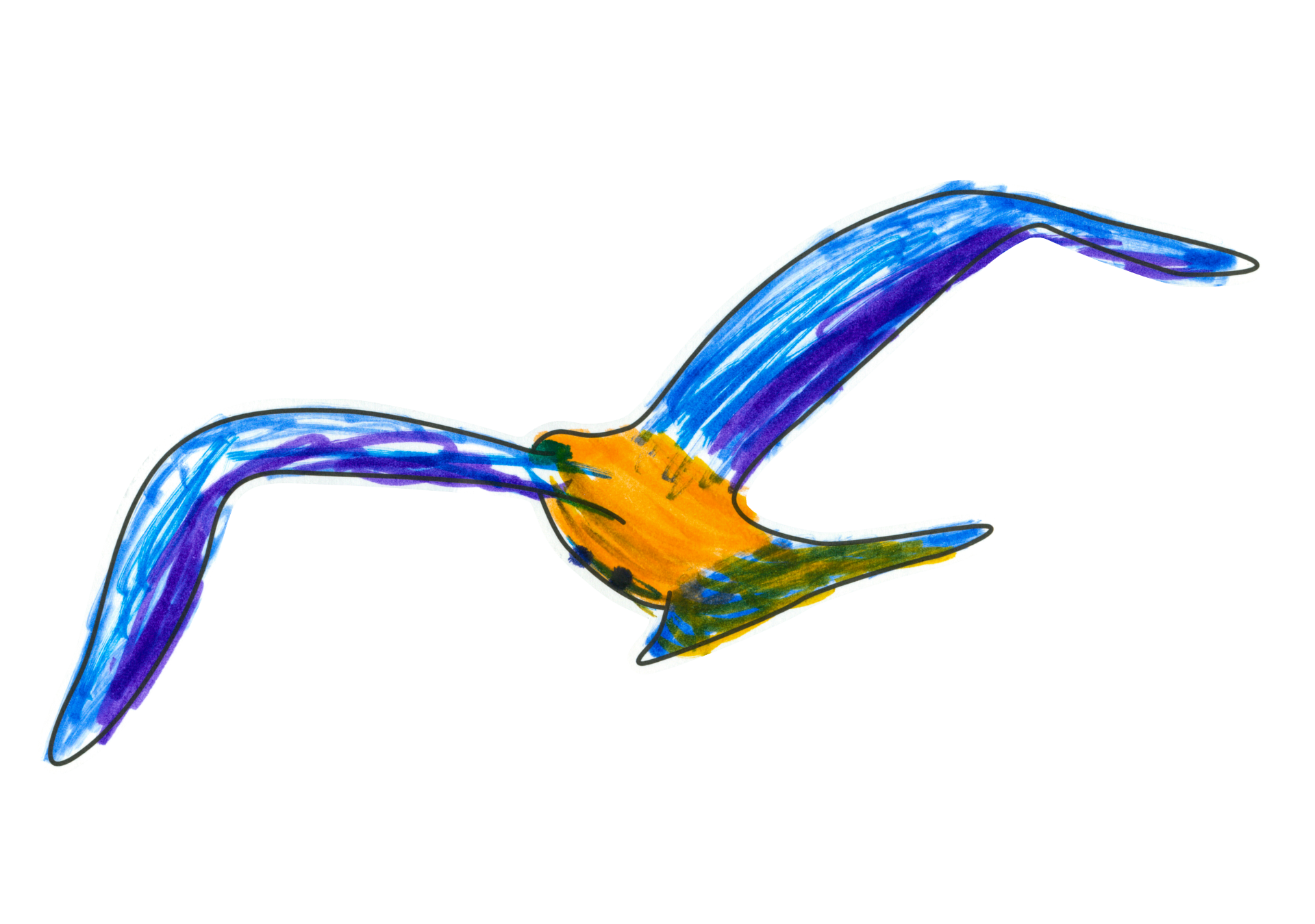 自由飛翔的天氣鳥