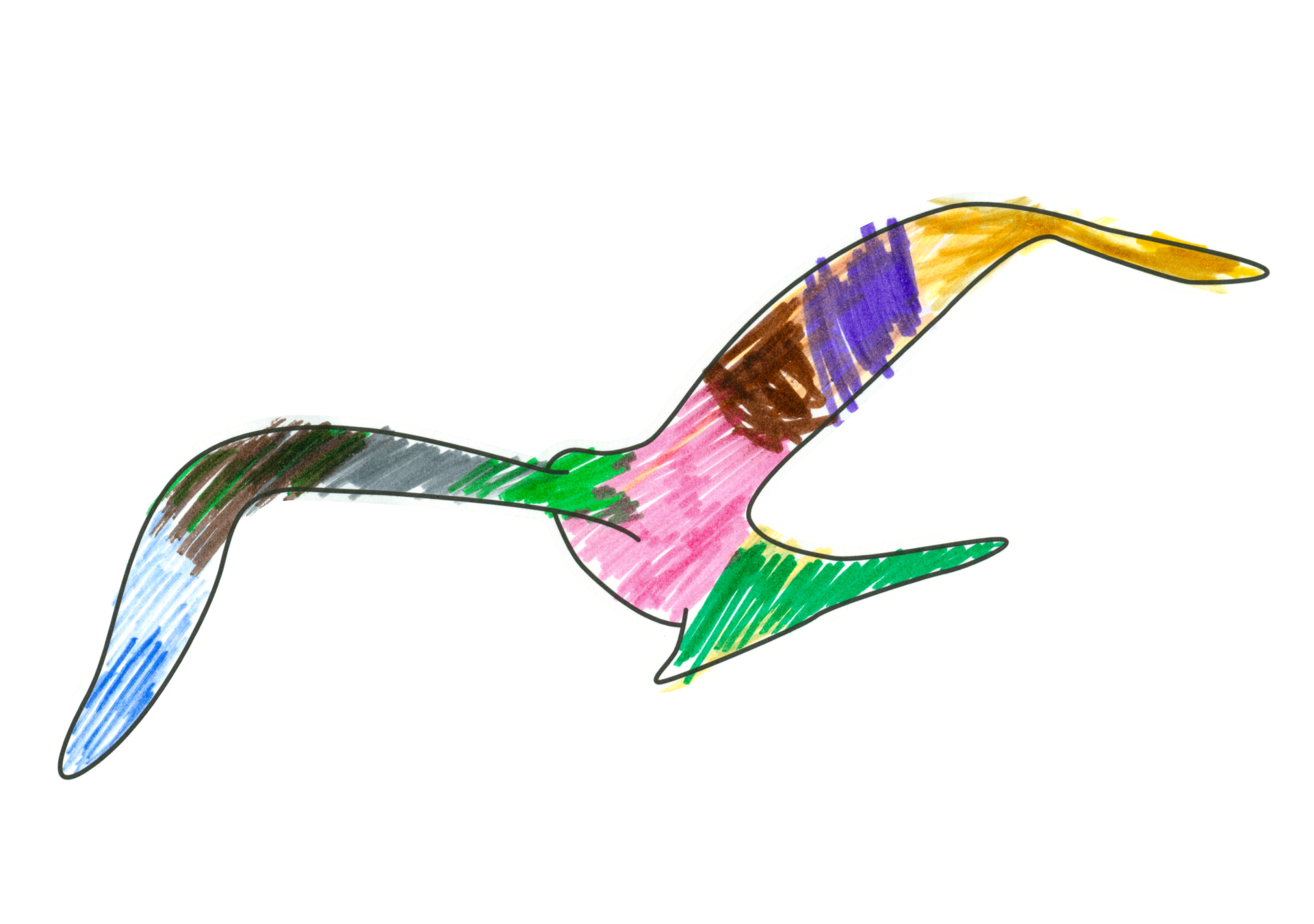 自由飛翔的天氣鳥