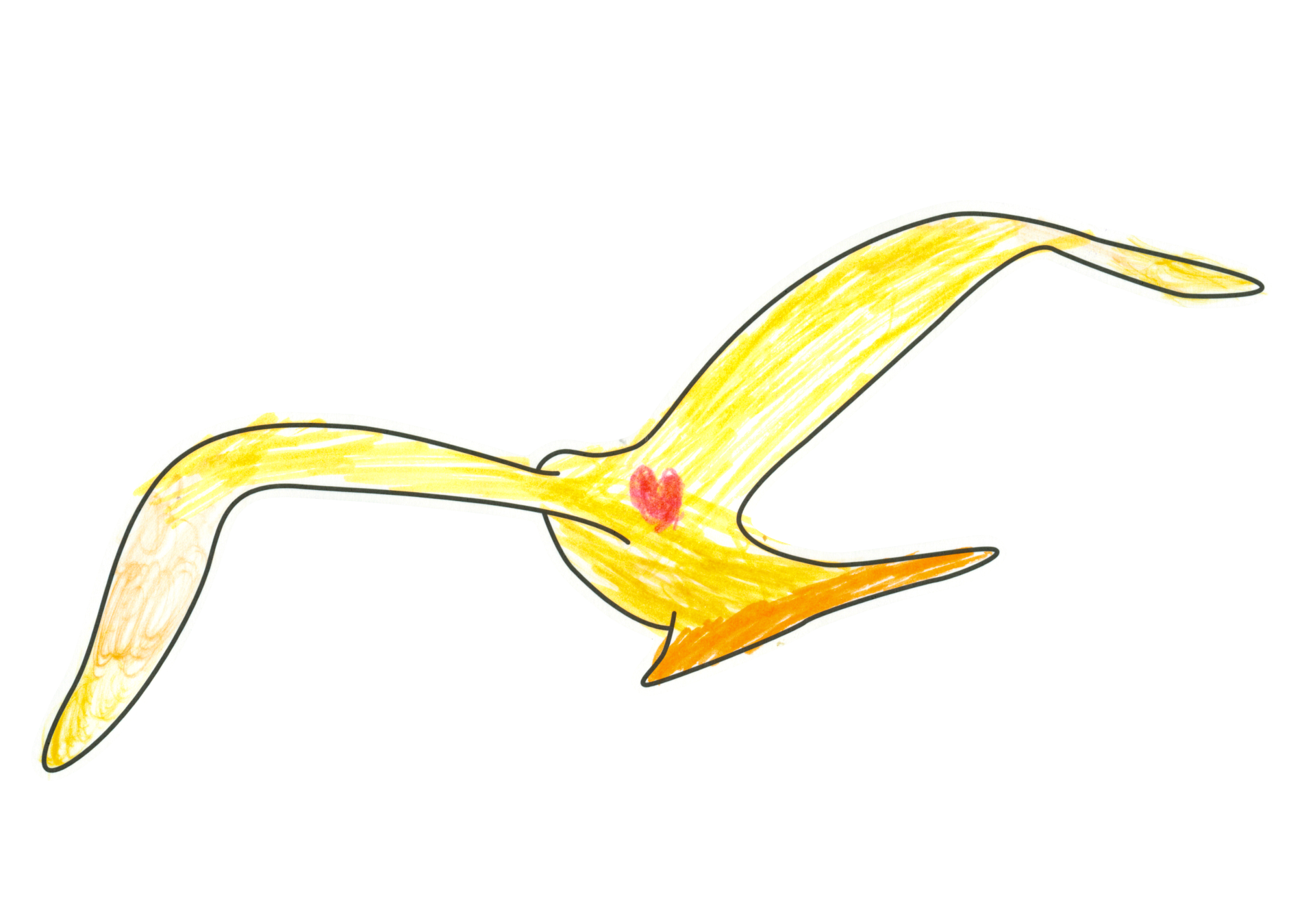 自由飛翔的天氣鳥