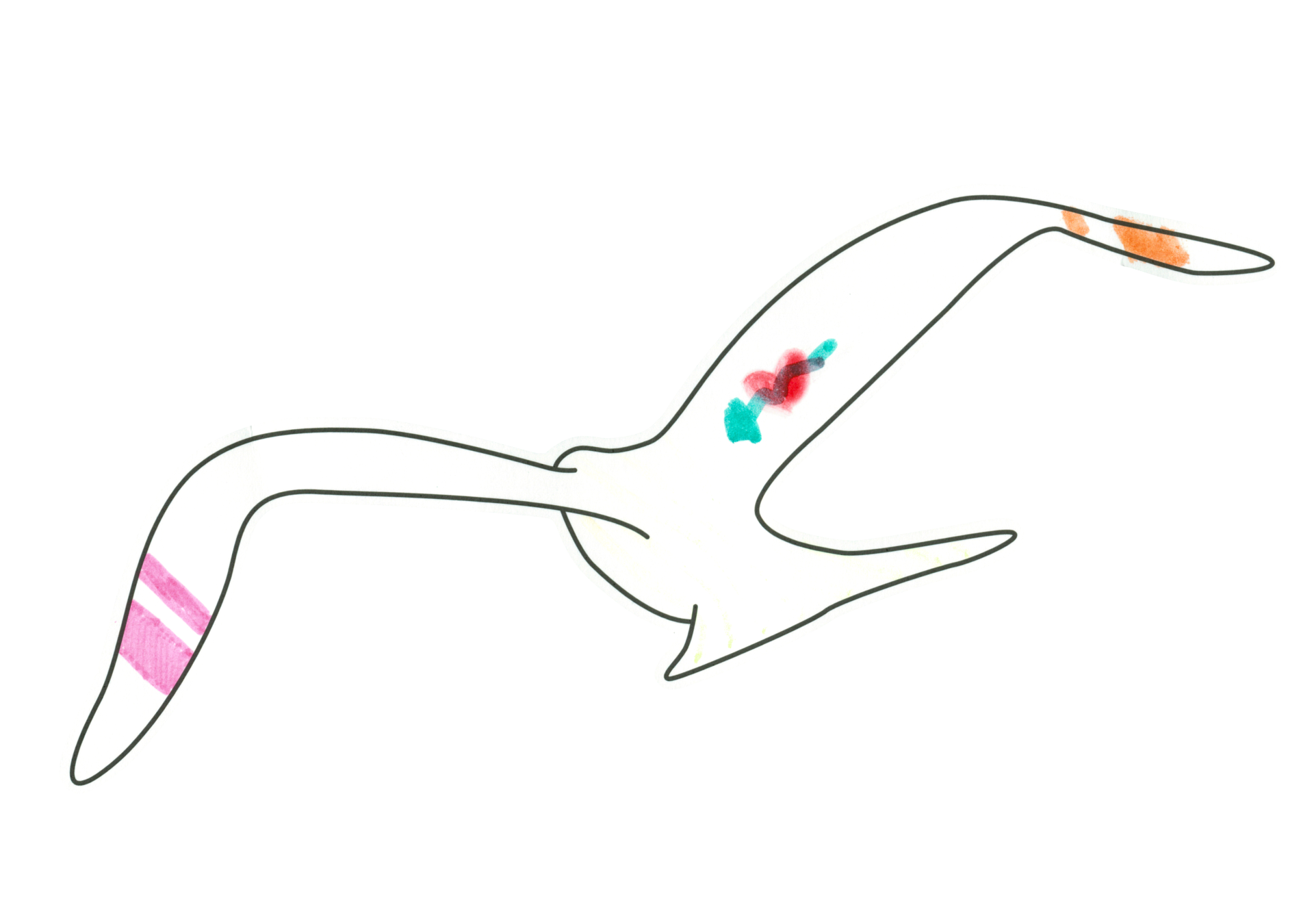 自由飛翔的天氣鳥