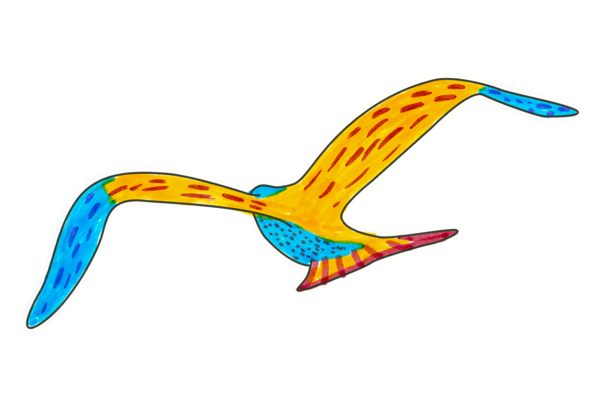 自由飛翔的天氣鳥