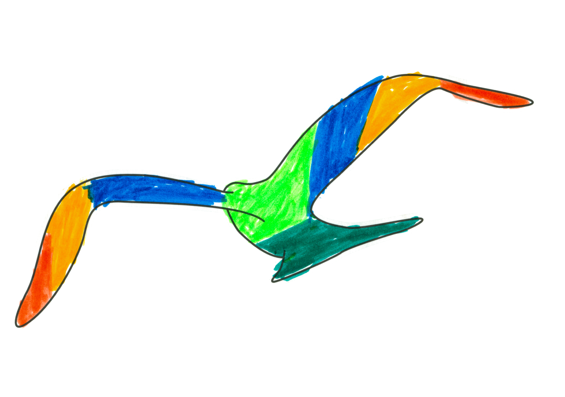 自由飛翔的天氣鳥