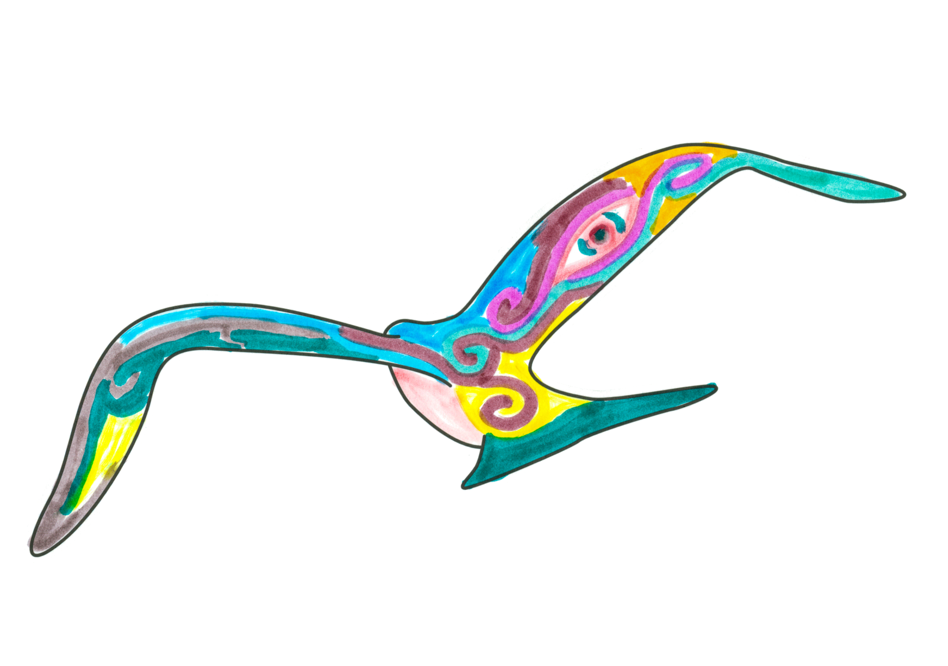 自由飛翔的天氣鳥