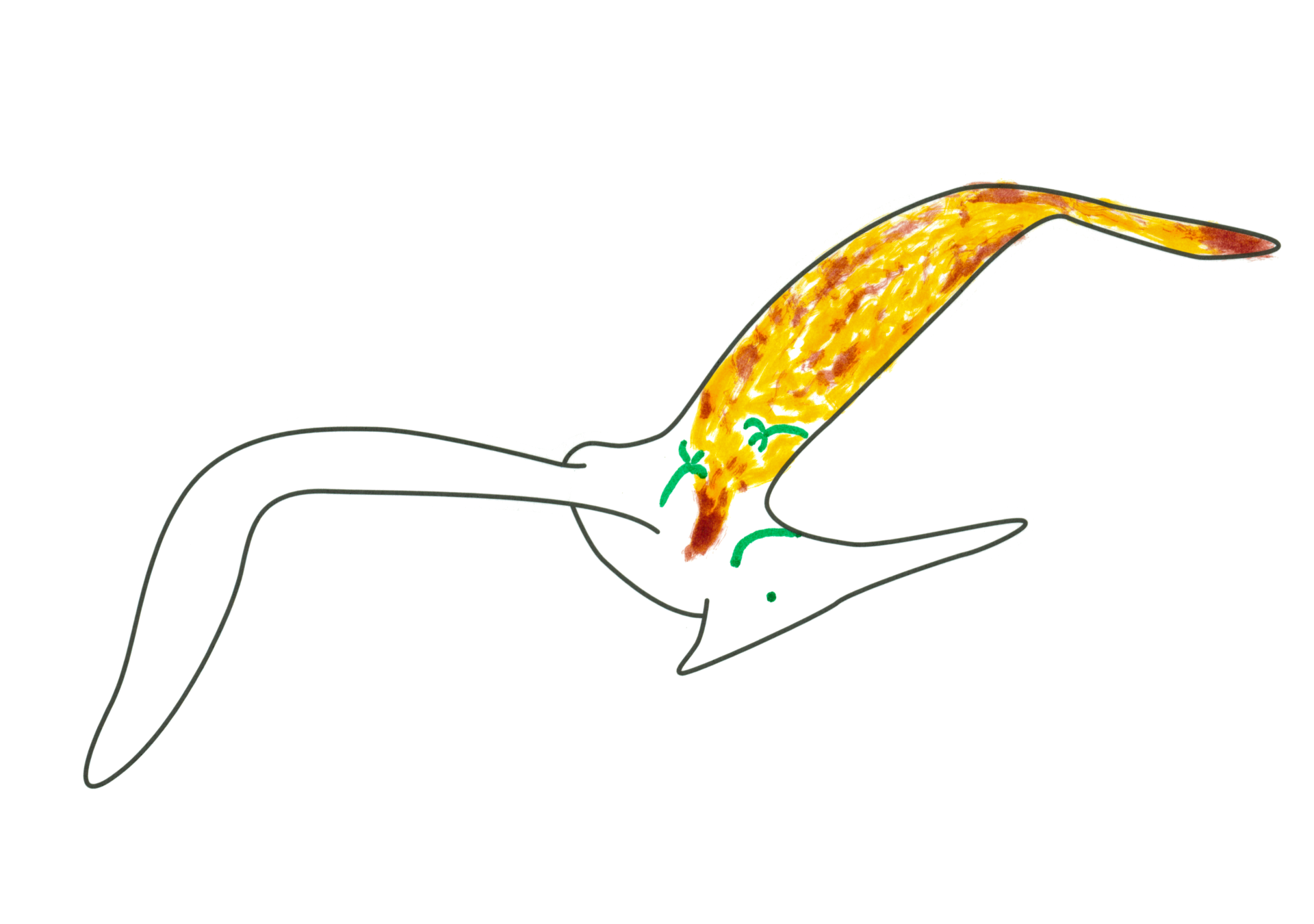 自由飛翔的天氣鳥