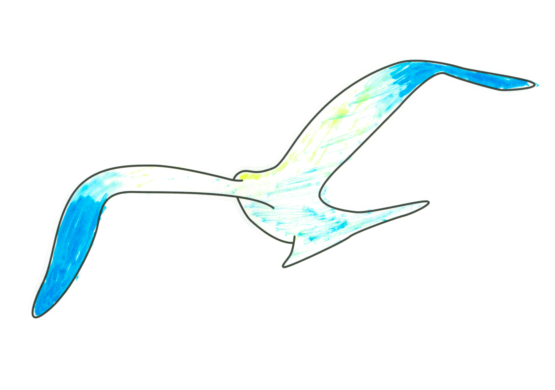自由飛翔的天氣鳥