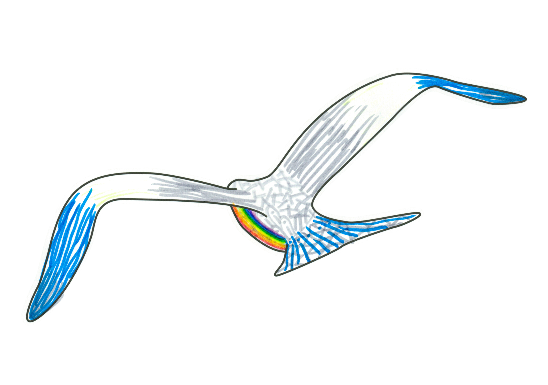 自由飛翔的天氣鳥