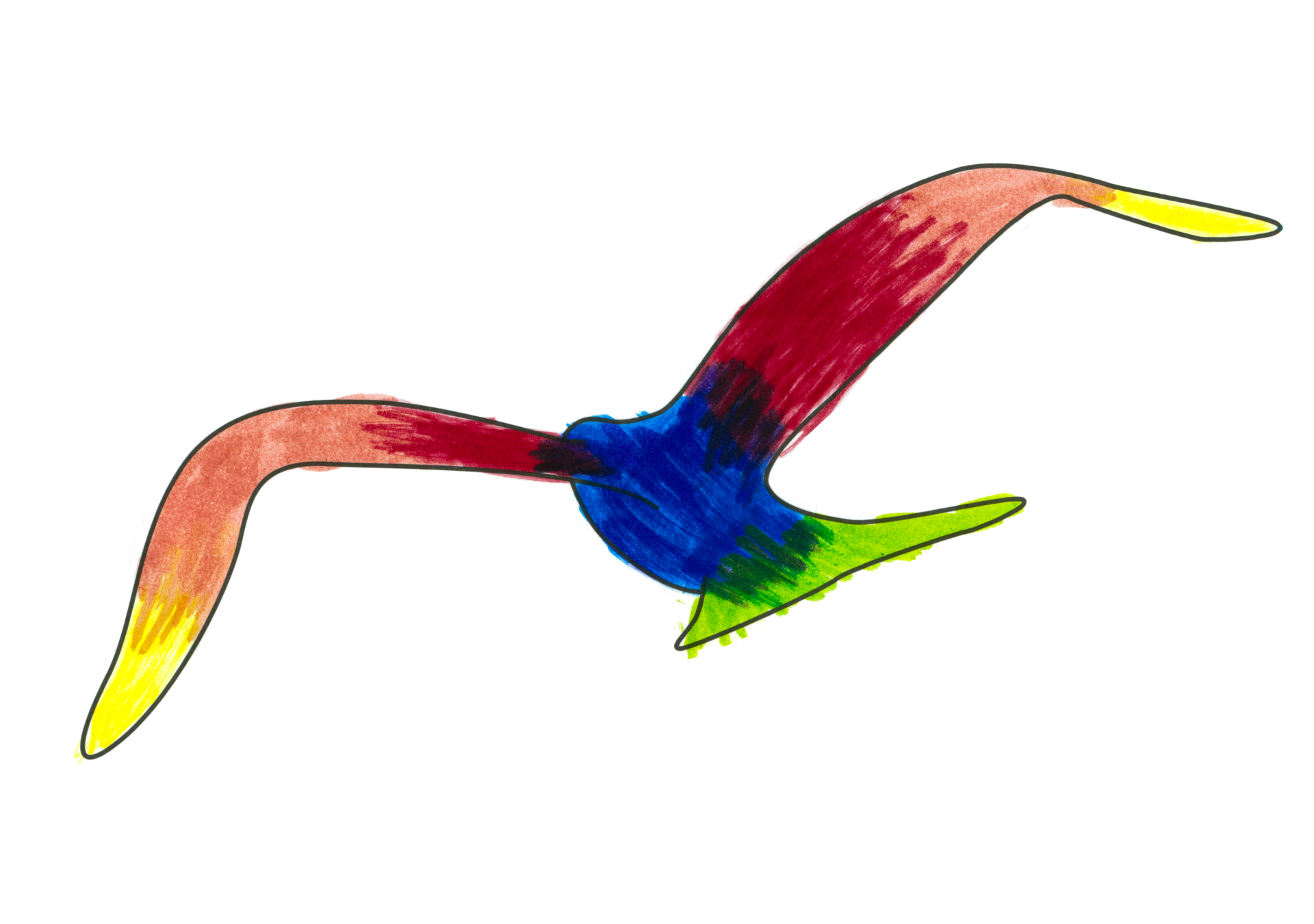 自由飛翔的天氣鳥