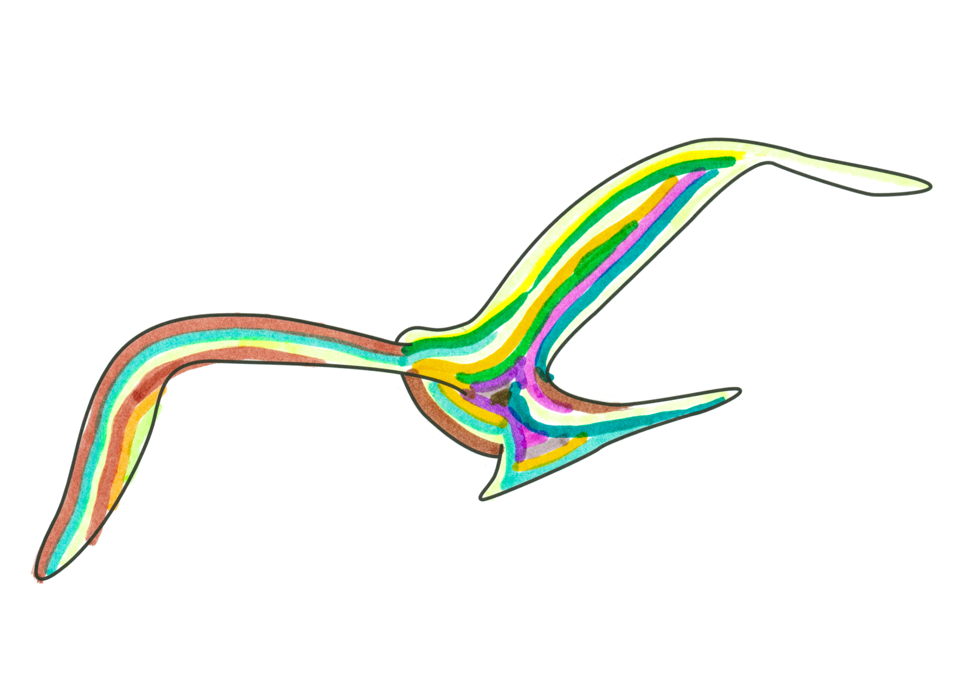 自由飛翔的天氣鳥