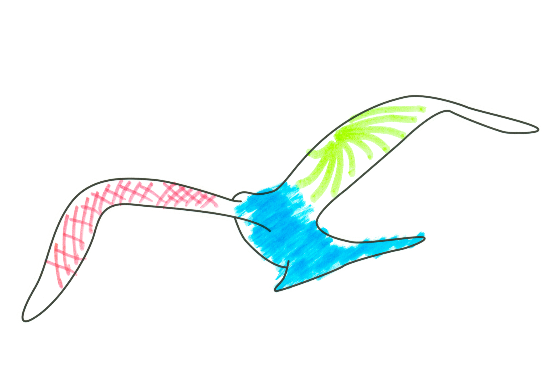 自由飛翔的天氣鳥