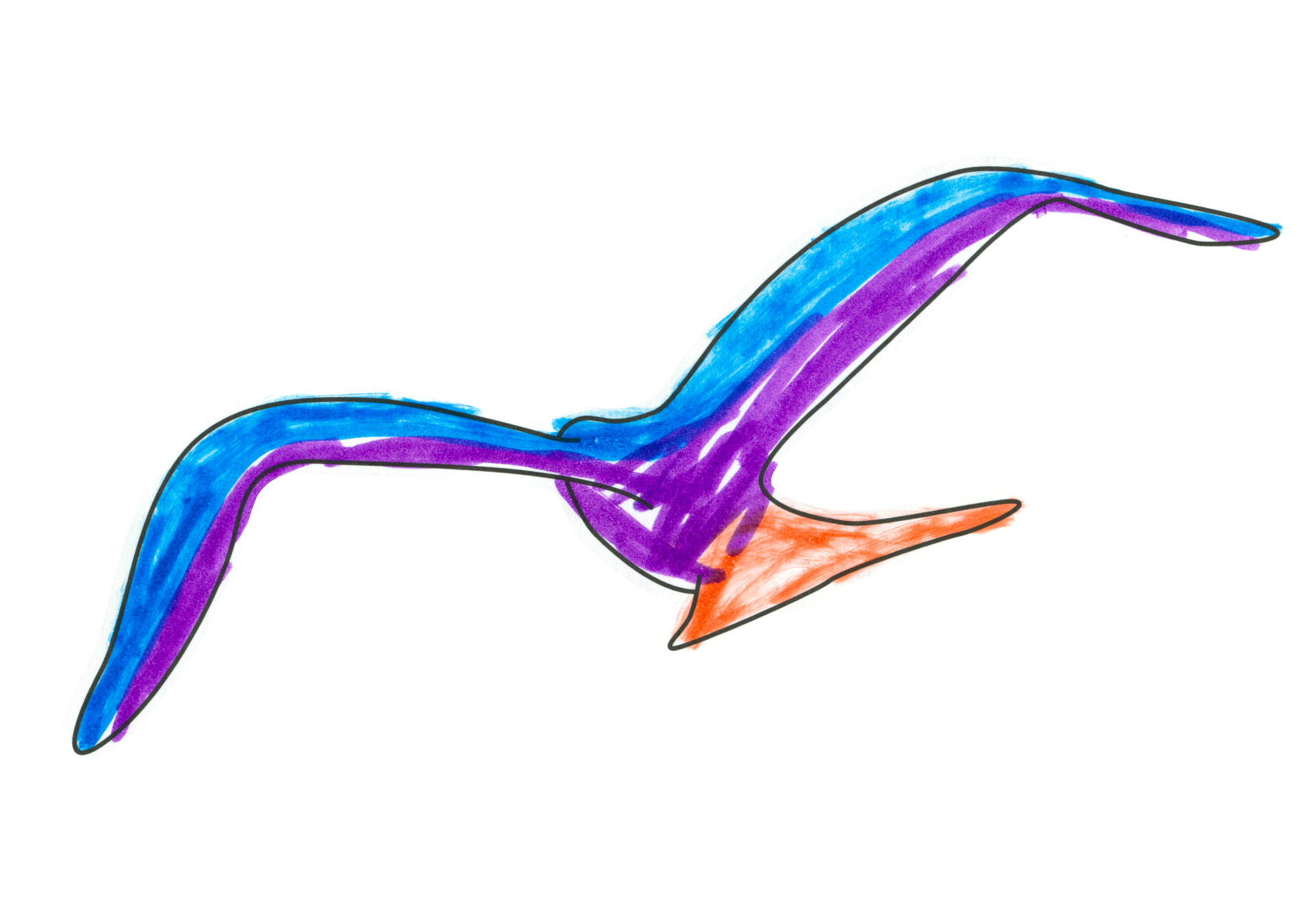 自由飛翔的天氣鳥