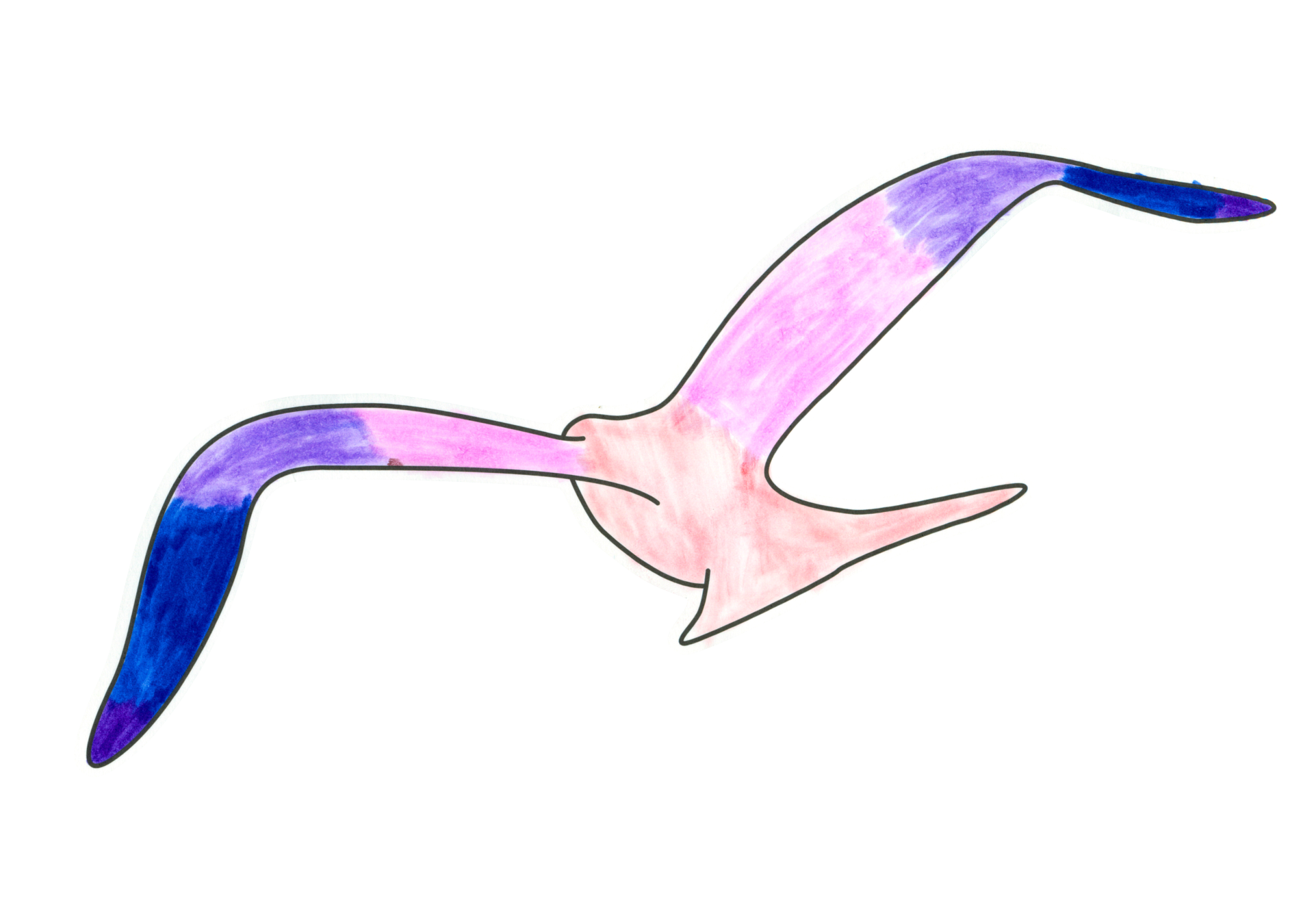自由飛翔的天氣鳥