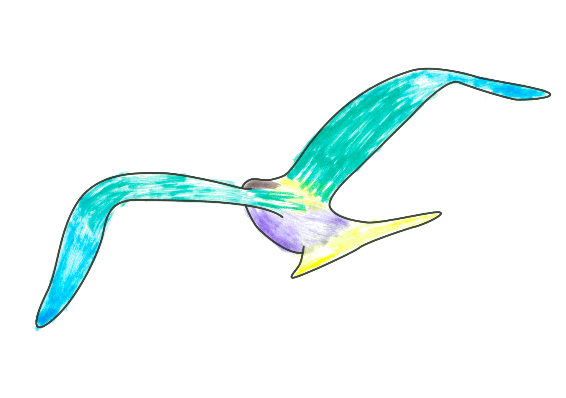 自由飛翔的天氣鳥