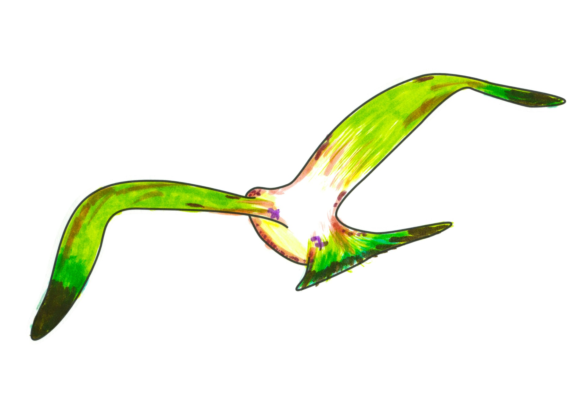 自由飛翔的天氣鳥