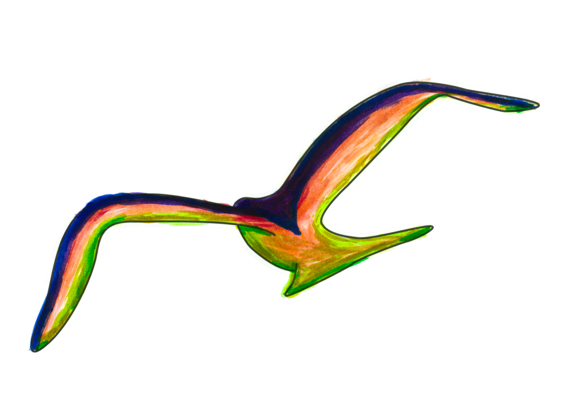 自由飛翔的天氣鳥