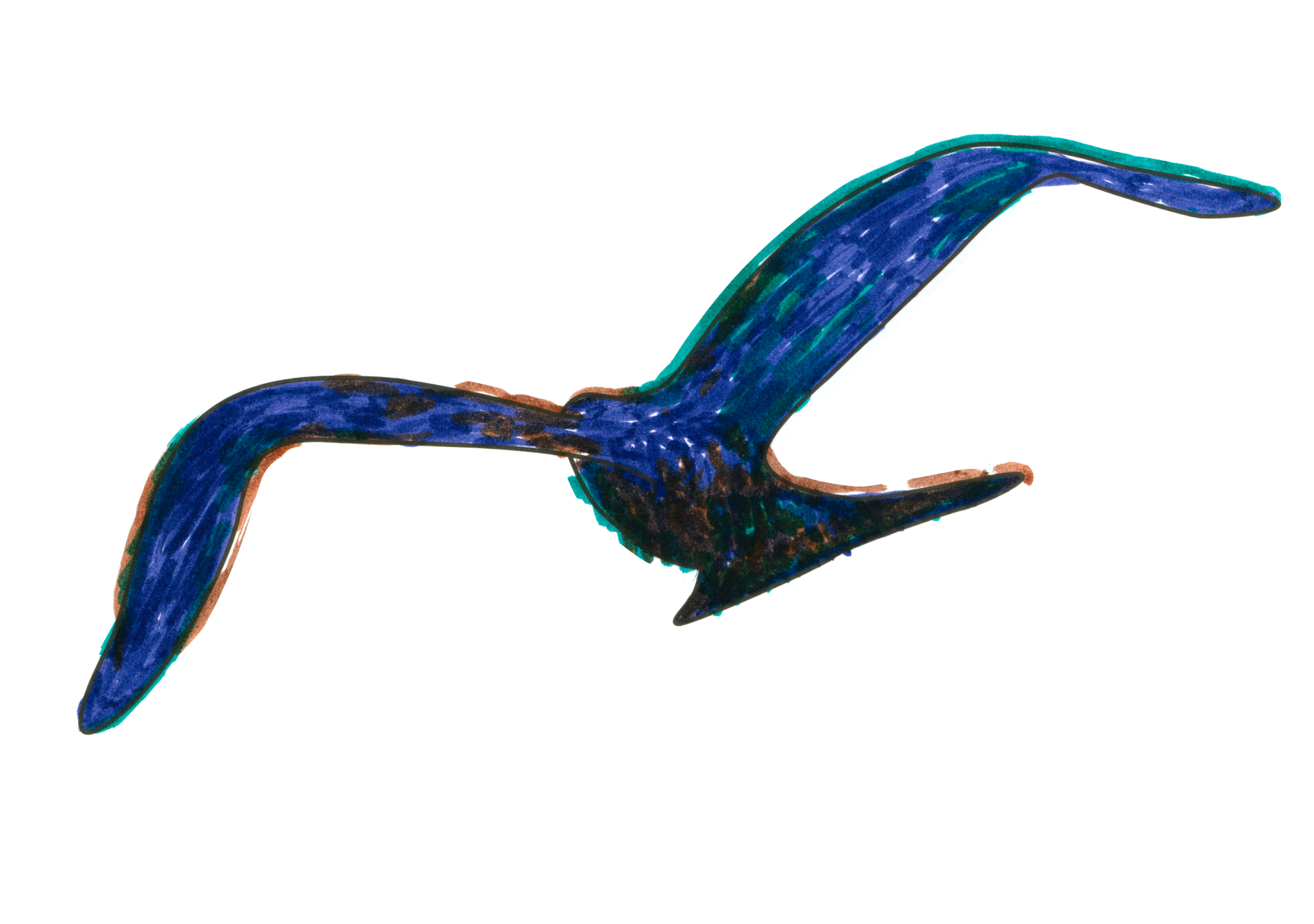 自由飛翔的天氣鳥
