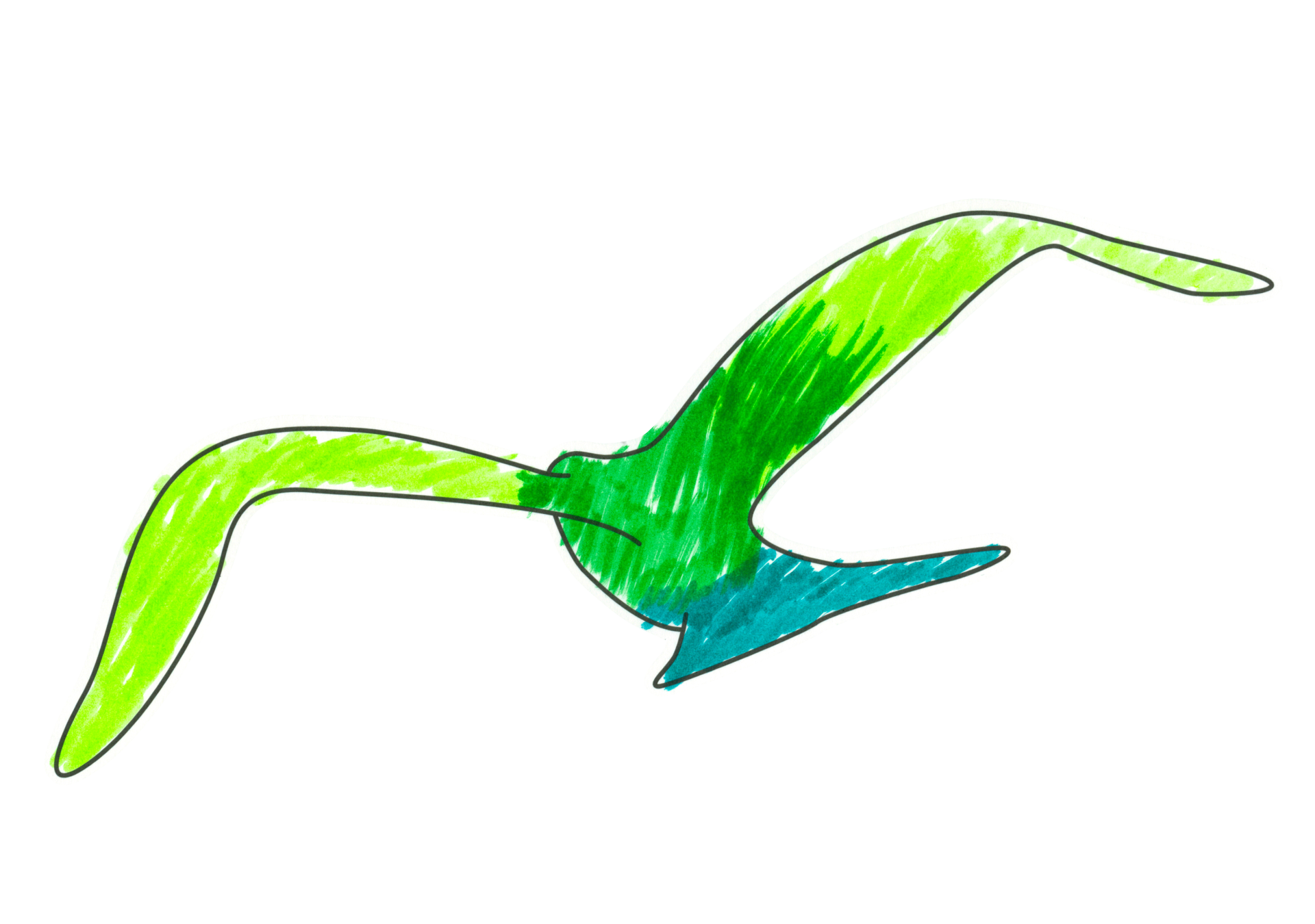 自由飛翔的天氣鳥