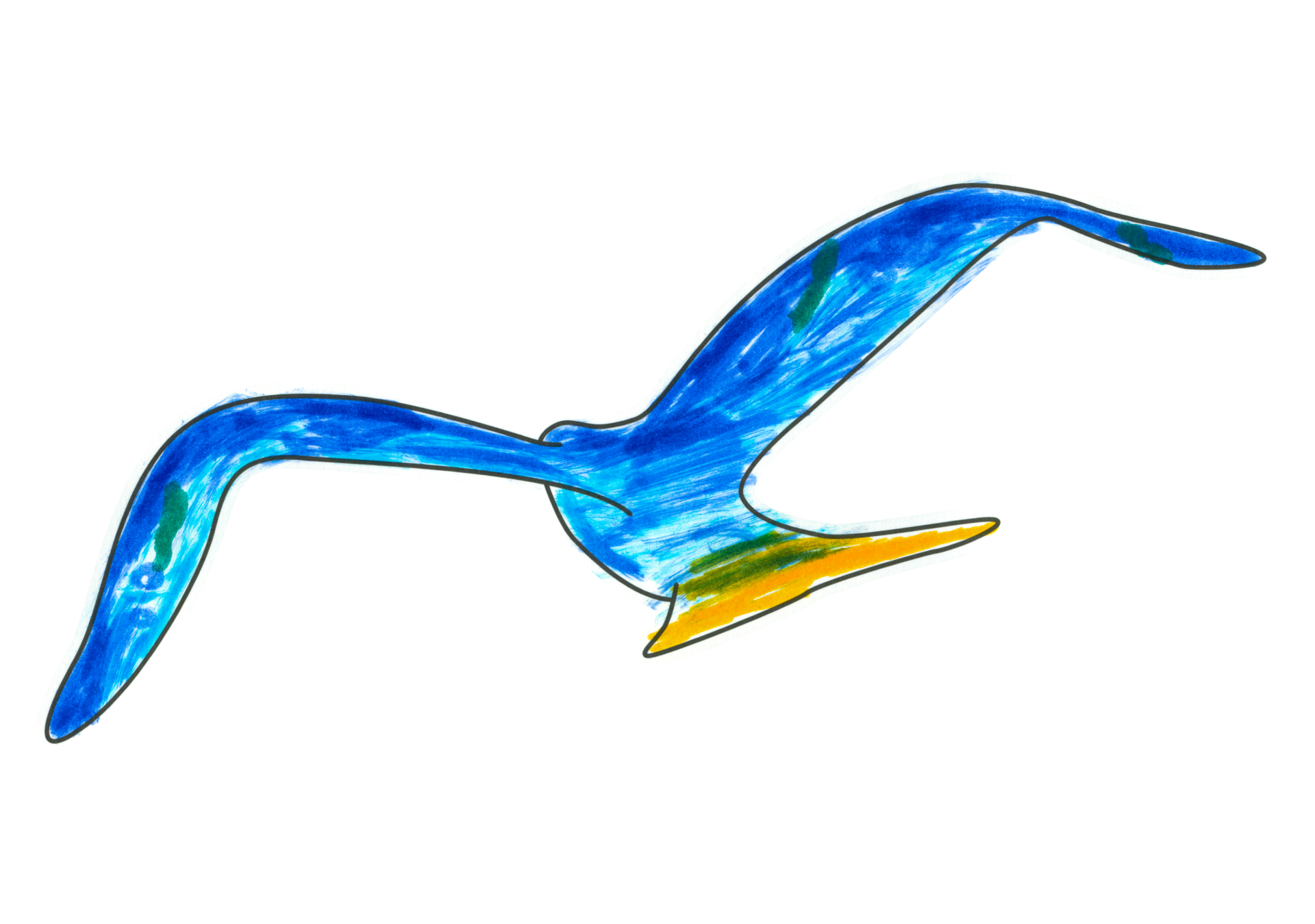 自由飛翔的天氣鳥