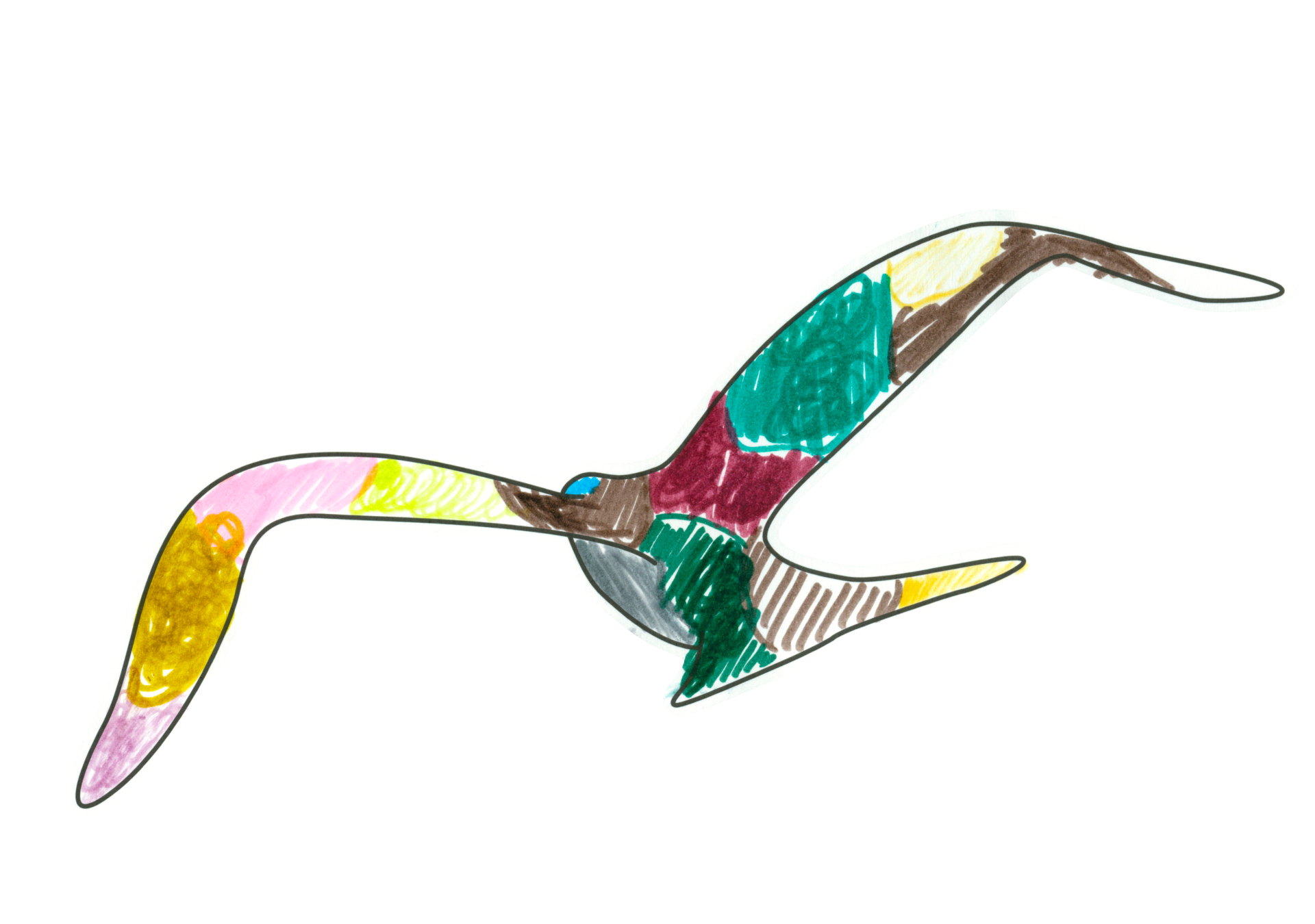 自由飛翔的天氣鳥
