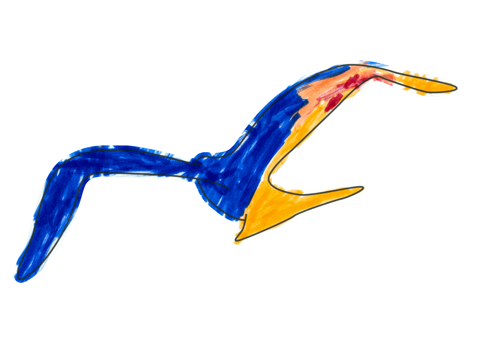 自由飛翔的天氣鳥