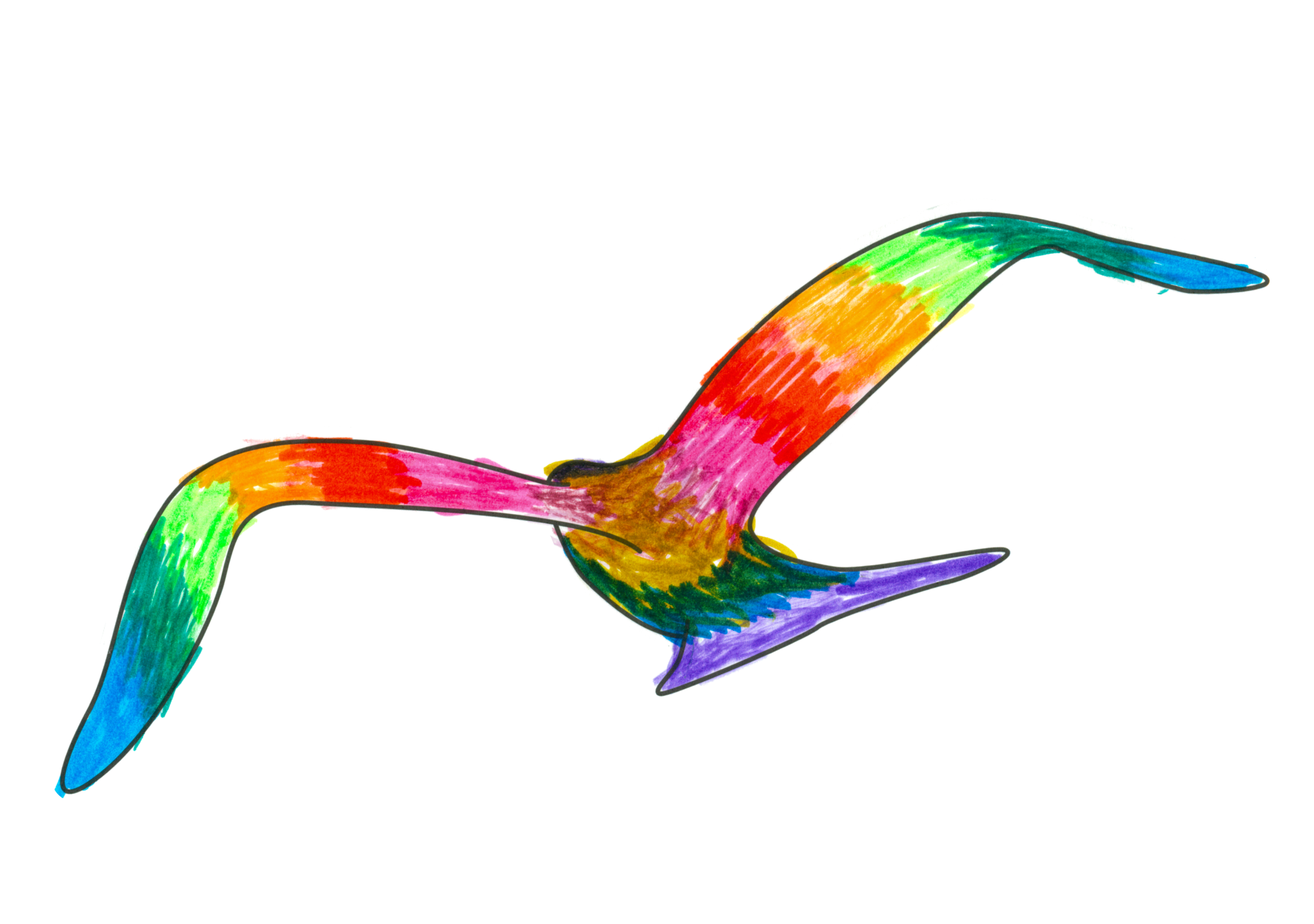 自由飛翔的天氣鳥