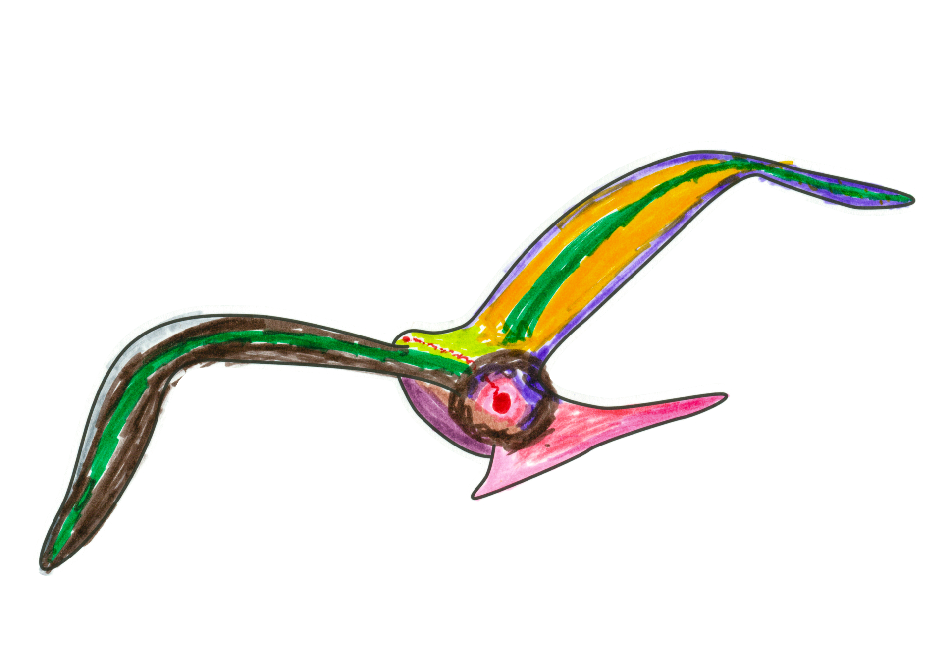 自由飛翔的天氣鳥