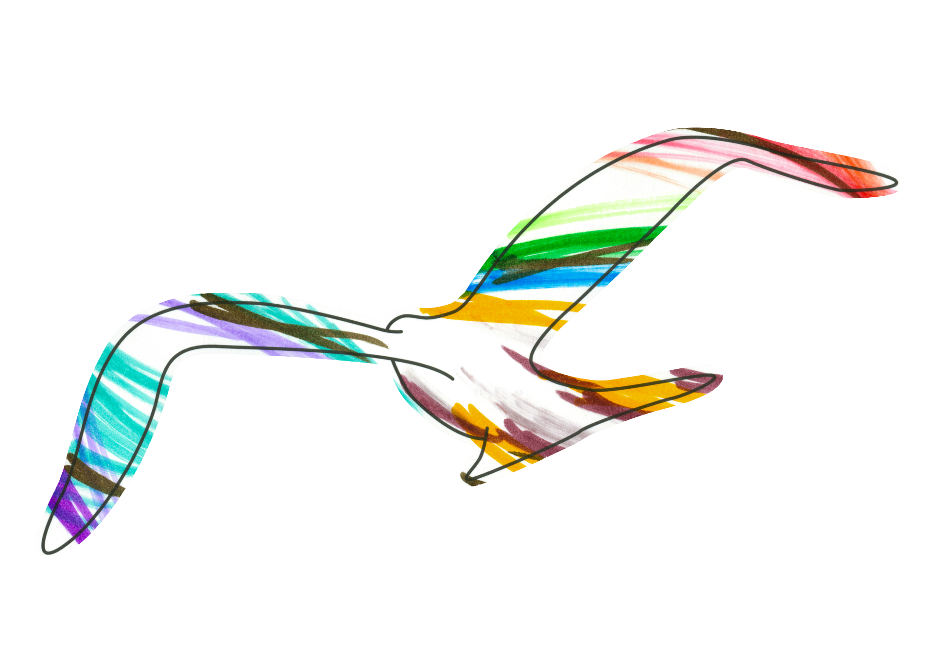 自由飛翔的天氣鳥