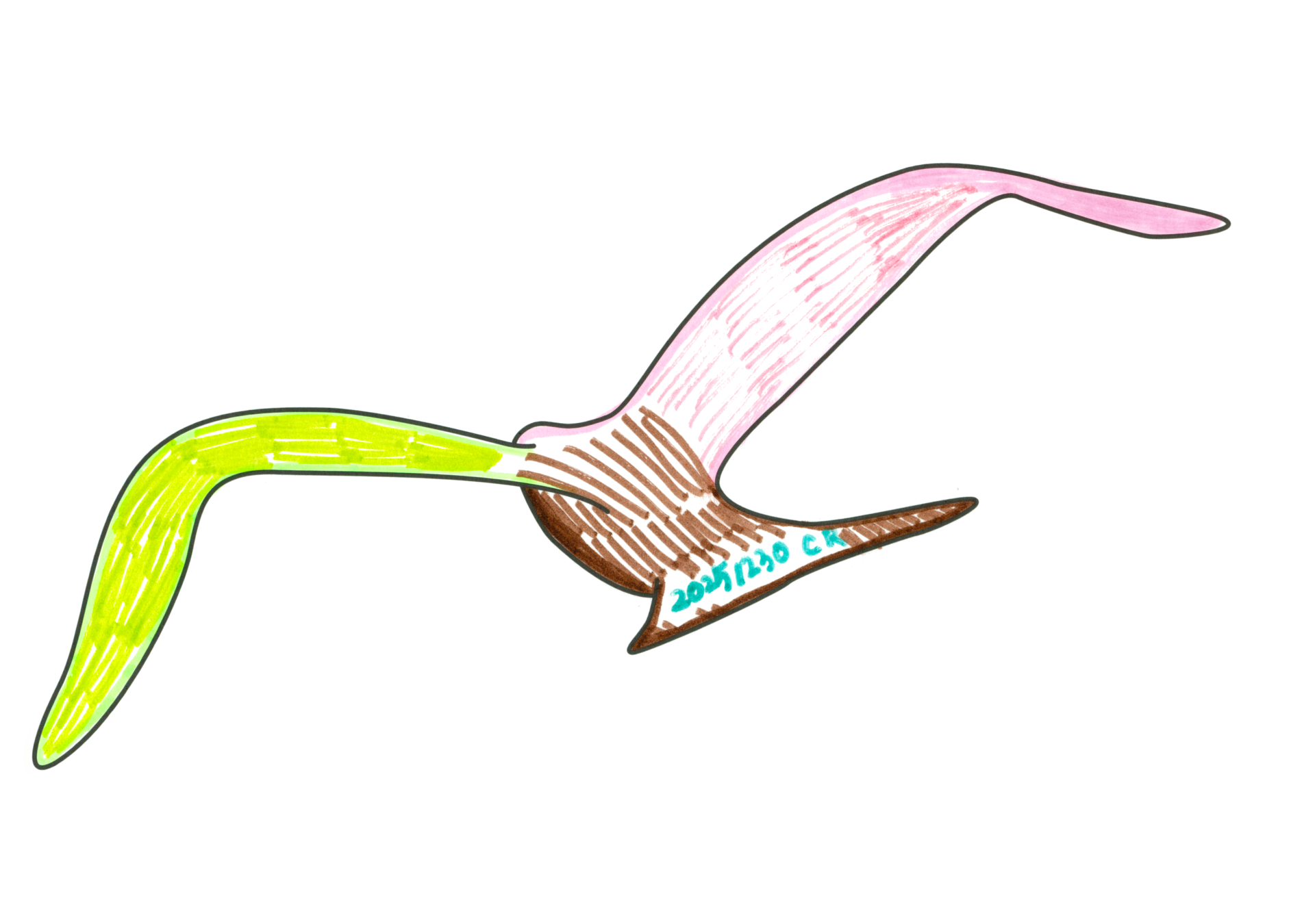 自由飛翔的天氣鳥