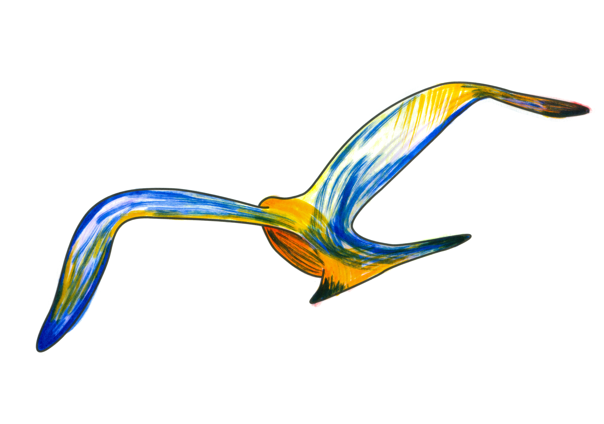 自由飛翔的天氣鳥