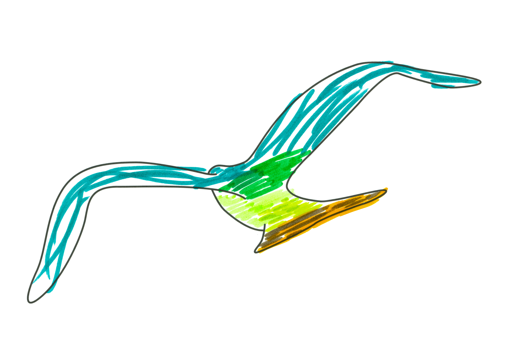 自由飛翔的天氣鳥