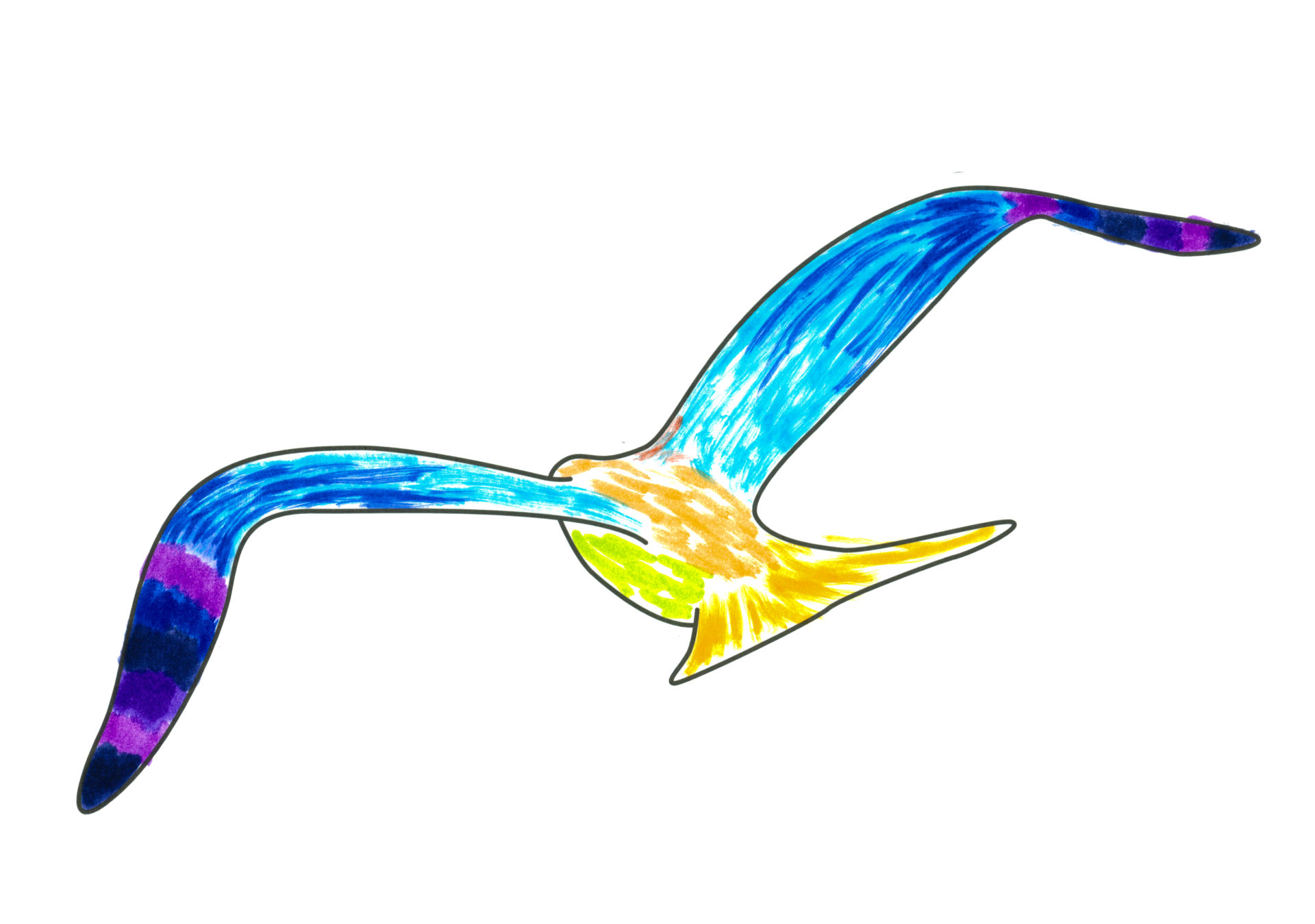 自由飛翔的天氣鳥