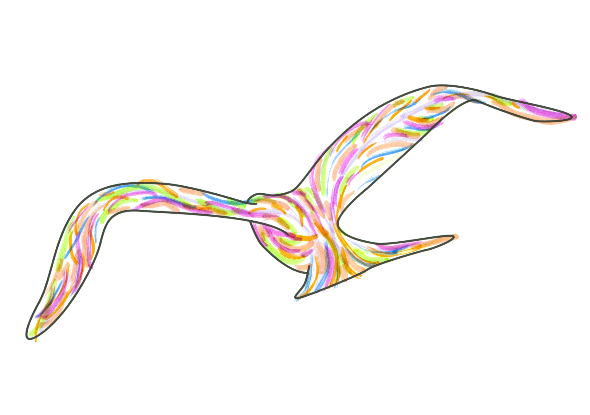 自由飛翔的天氣鳥