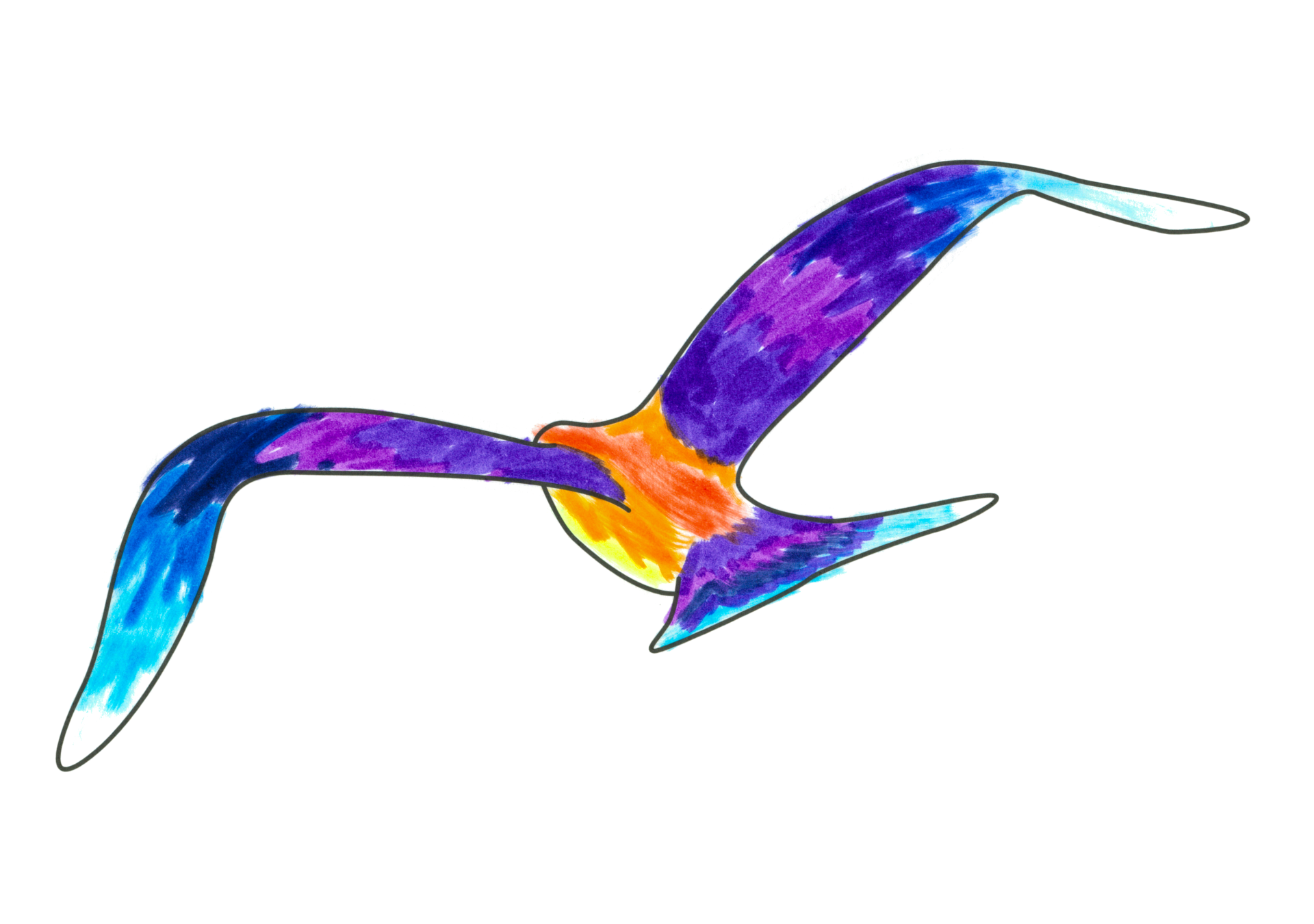 自由飛翔的天氣鳥