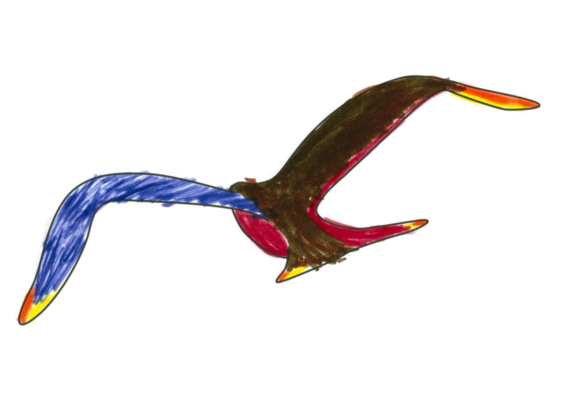 自由飛翔的天氣鳥