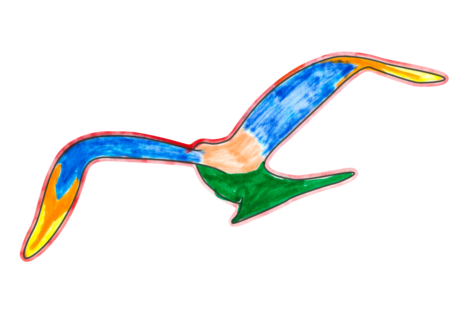 自由飛翔的天氣鳥