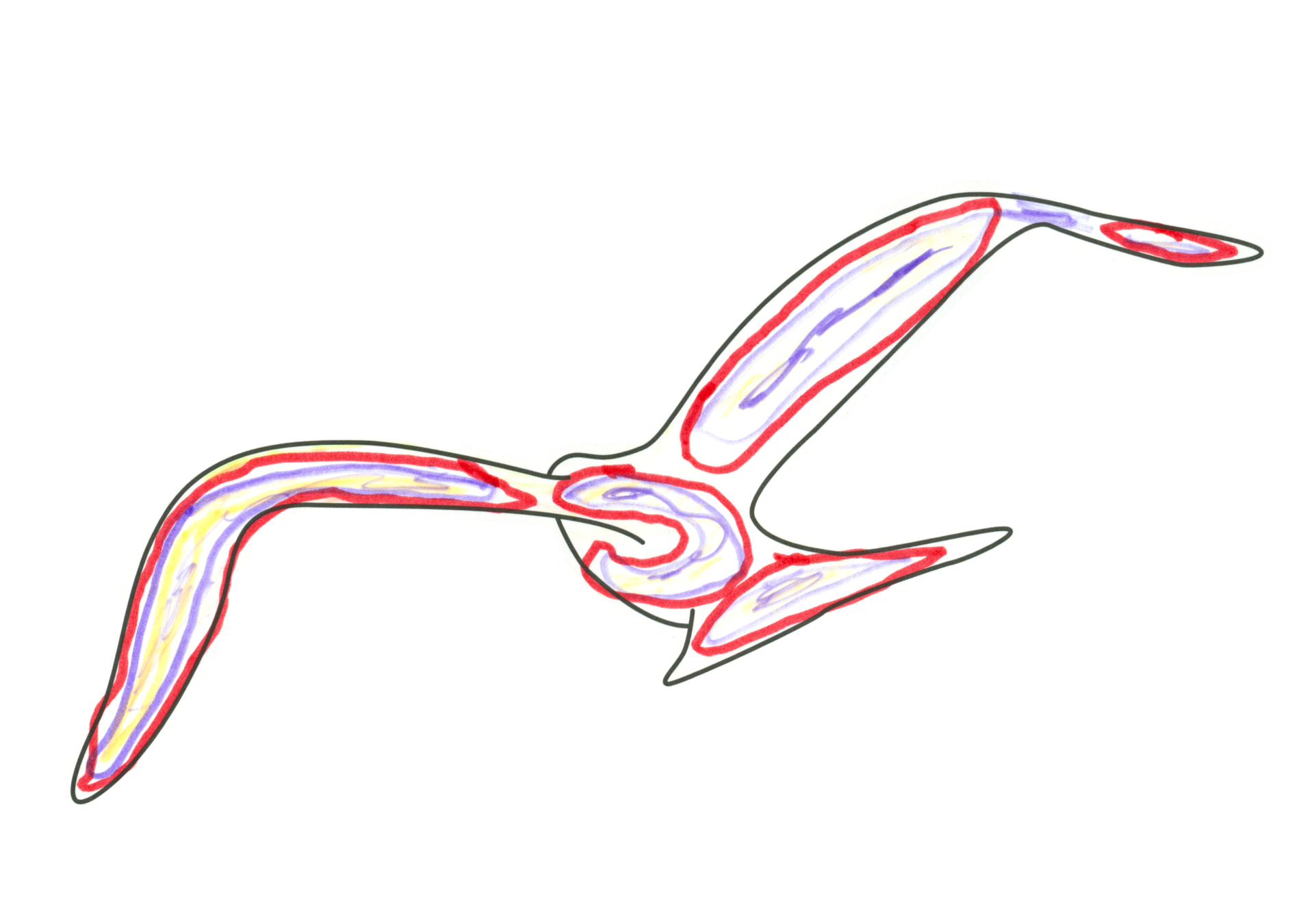 自由飛翔的天氣鳥