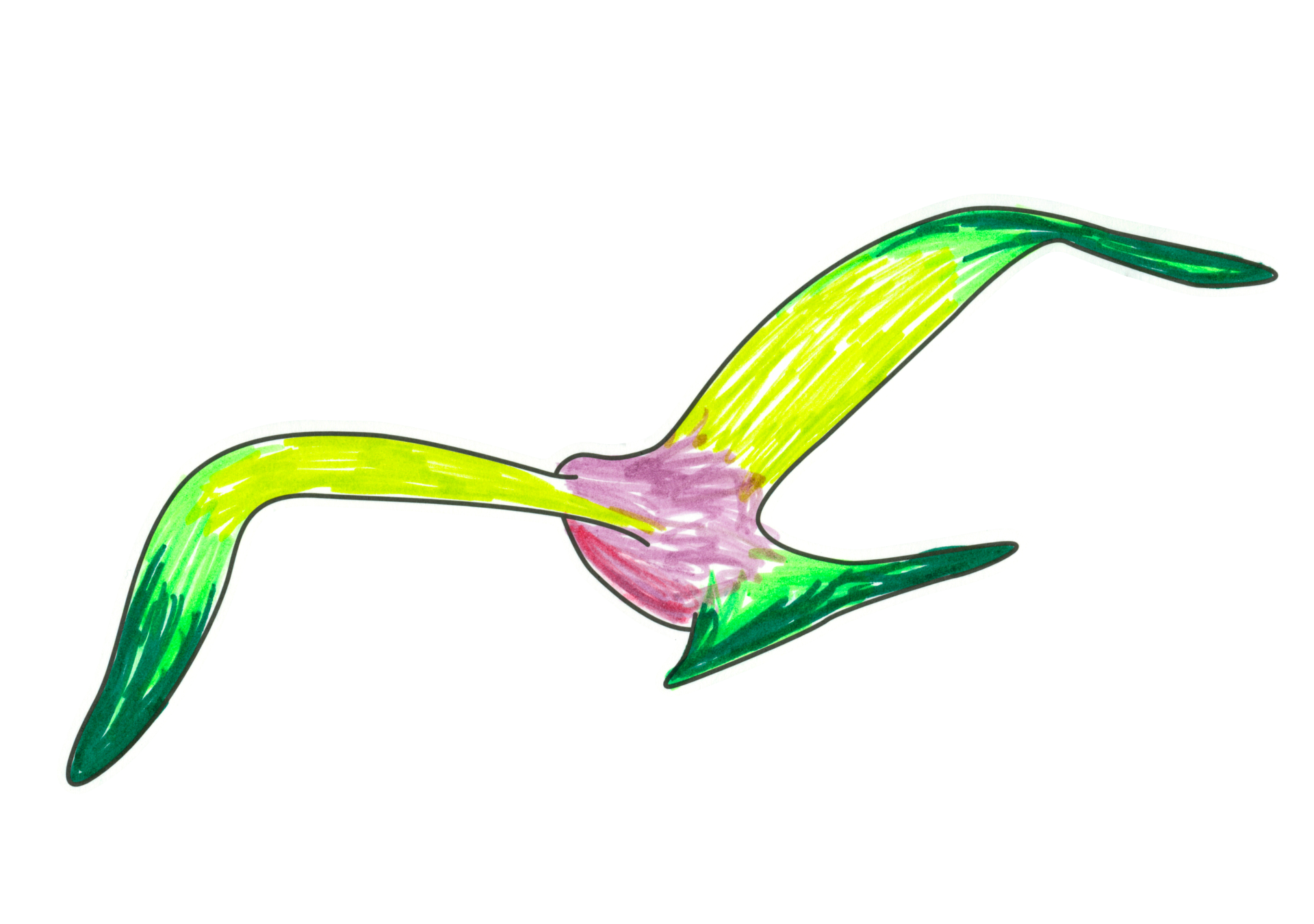 自由飛翔的天氣鳥