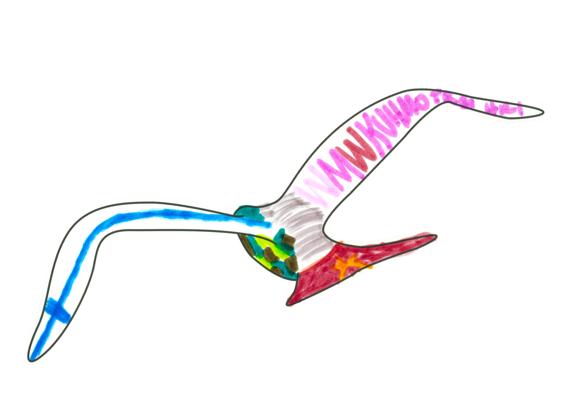 自由飛翔的天氣鳥